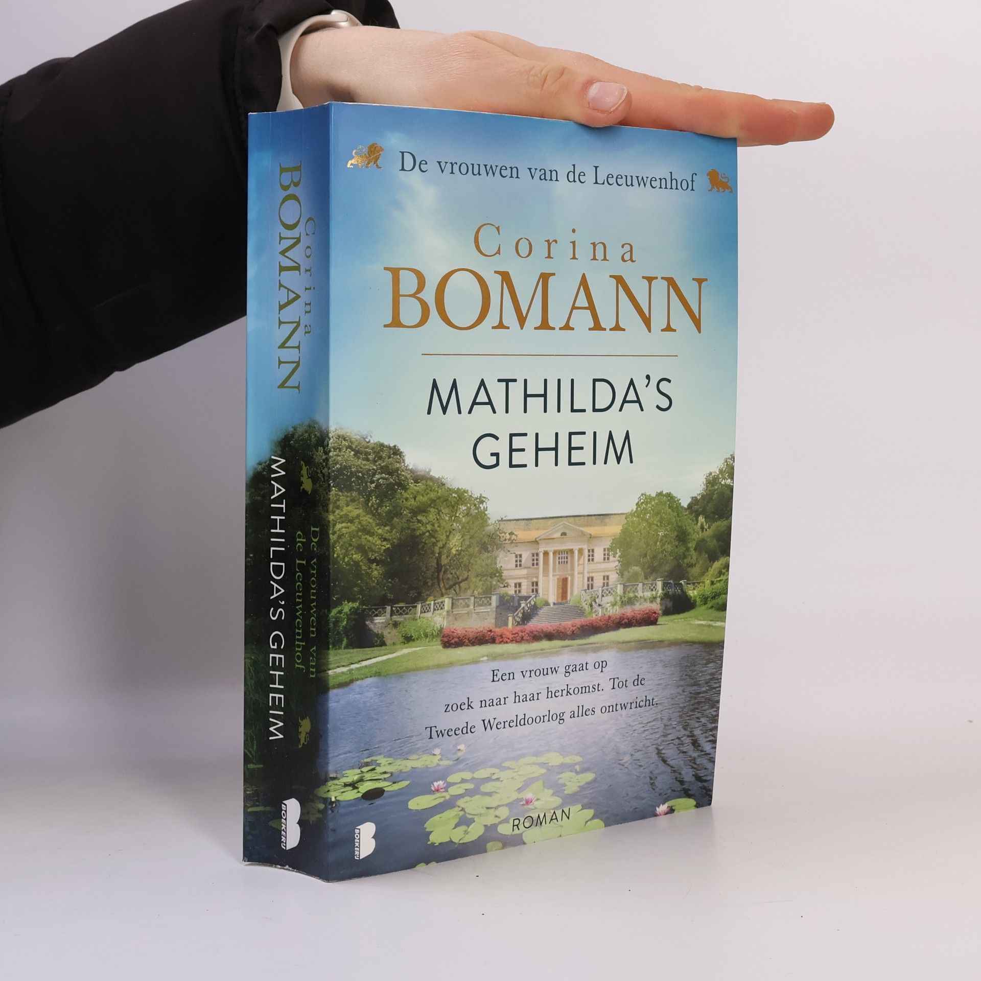 Corina Bomann Mathilda's geheim