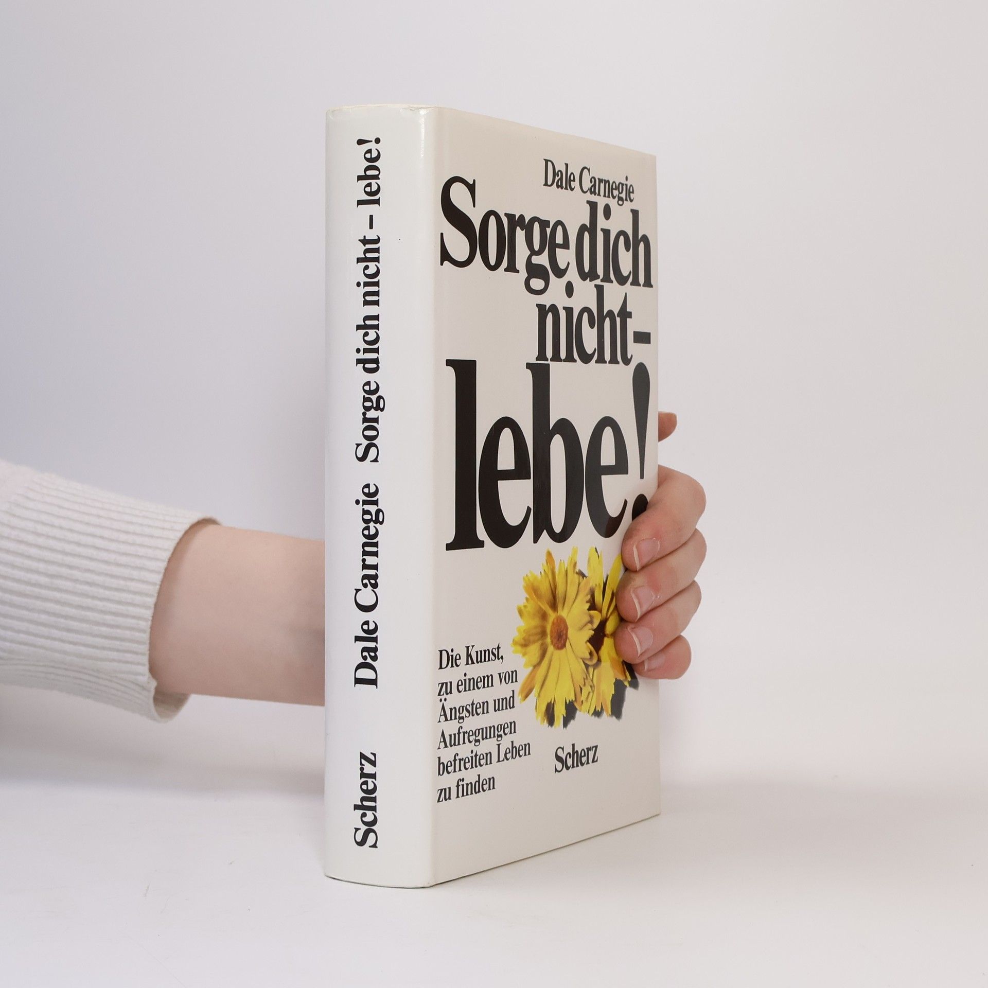 Dale Carnegie Sorge dich nicht - lebe!