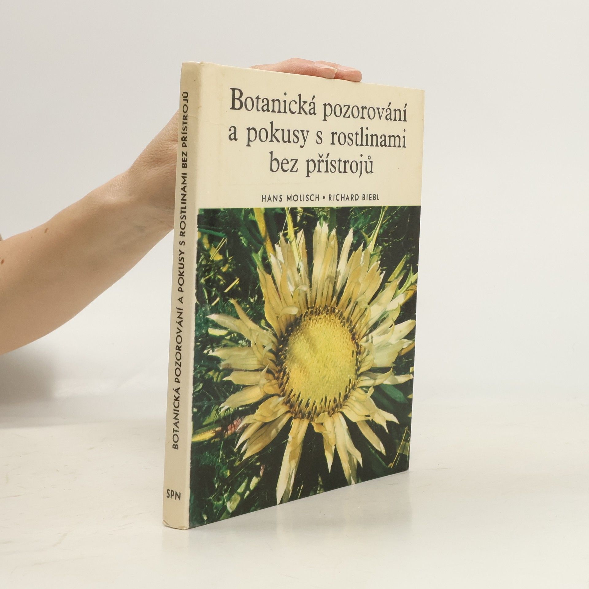 Botanická pozorování a pokusy s rostlinami bez přístrojů