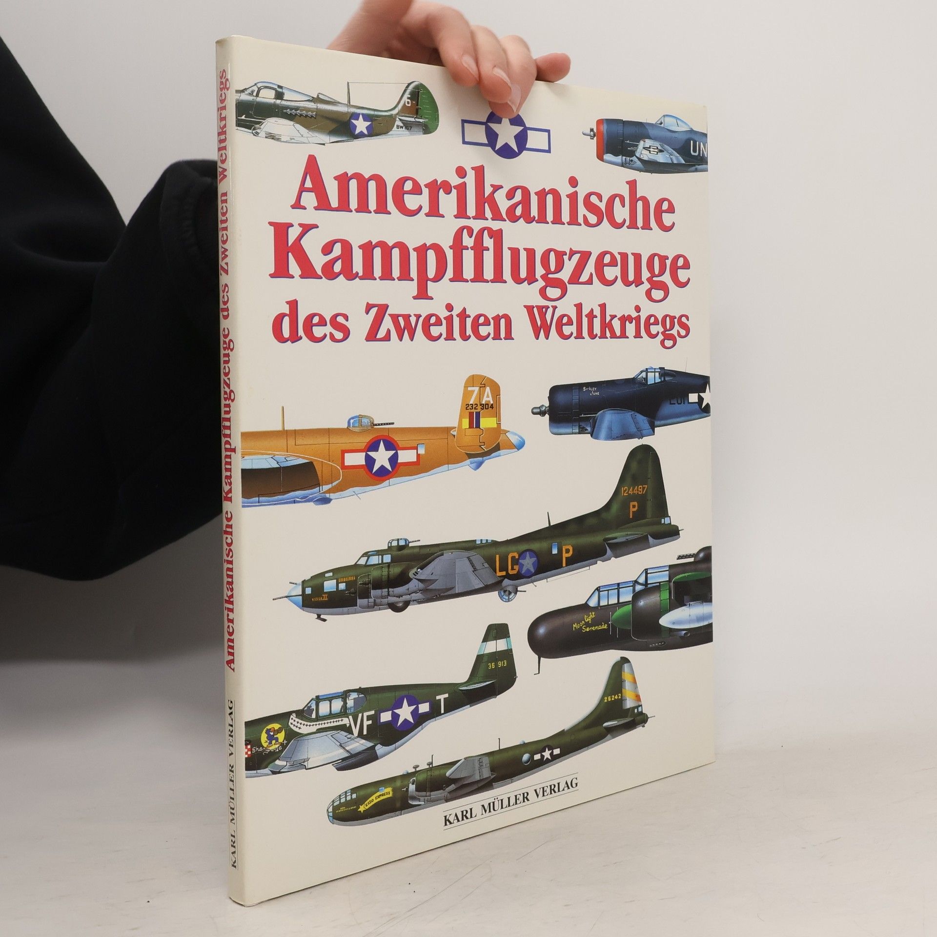 Kolektiv autorů Amerikanische Kampfflugzeuge des Zweiten Weltkriegs