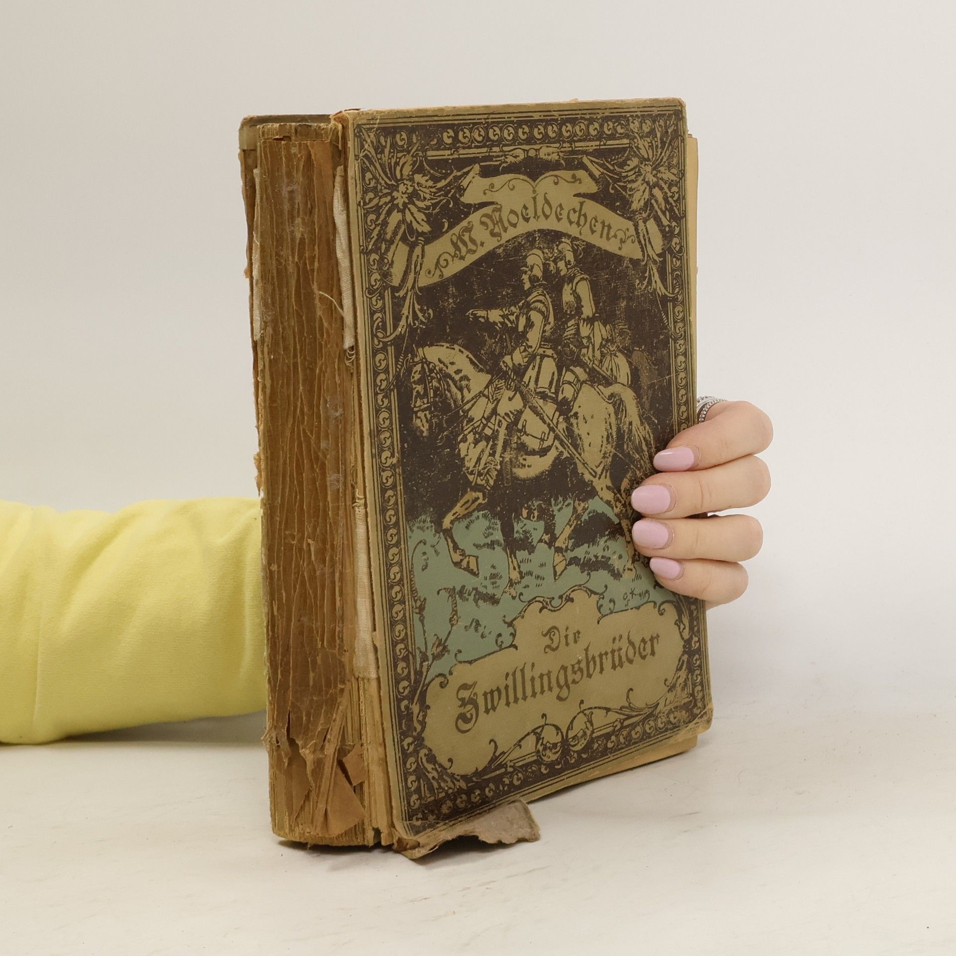 Die Zwillingsbrüder