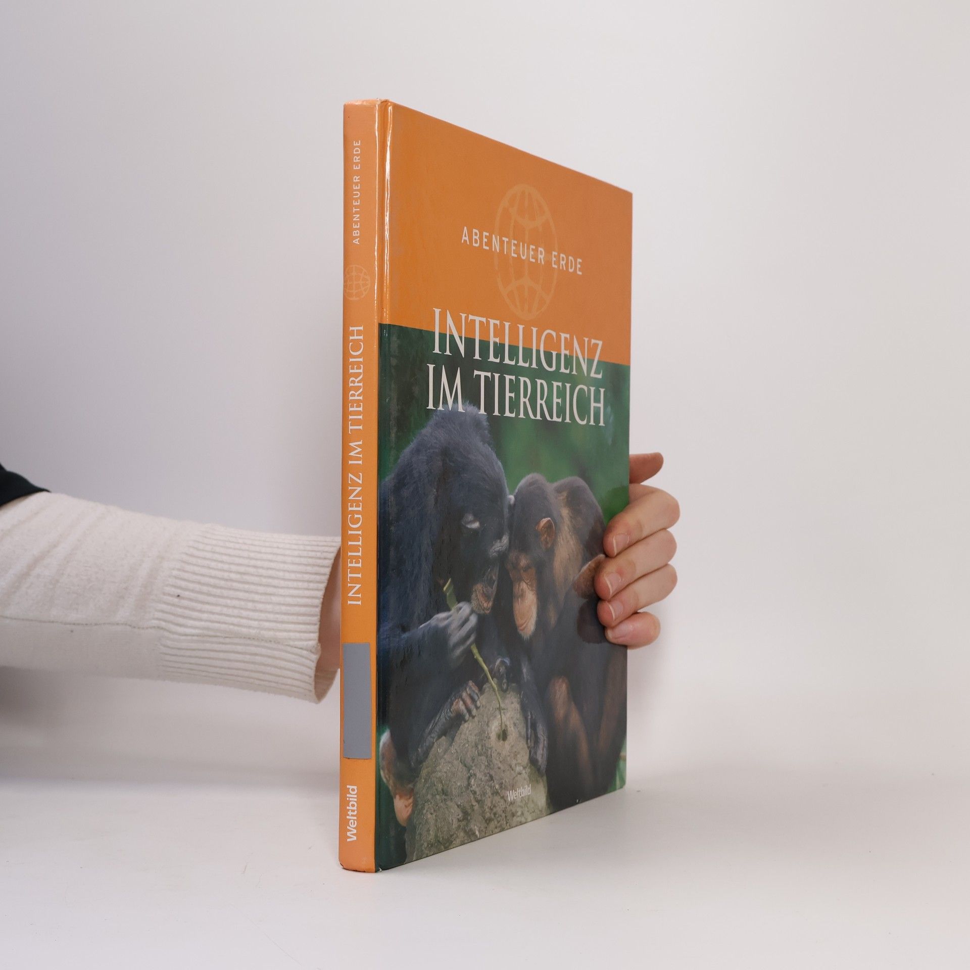 Collectif d'auteurs Intelligenz im Tierreich