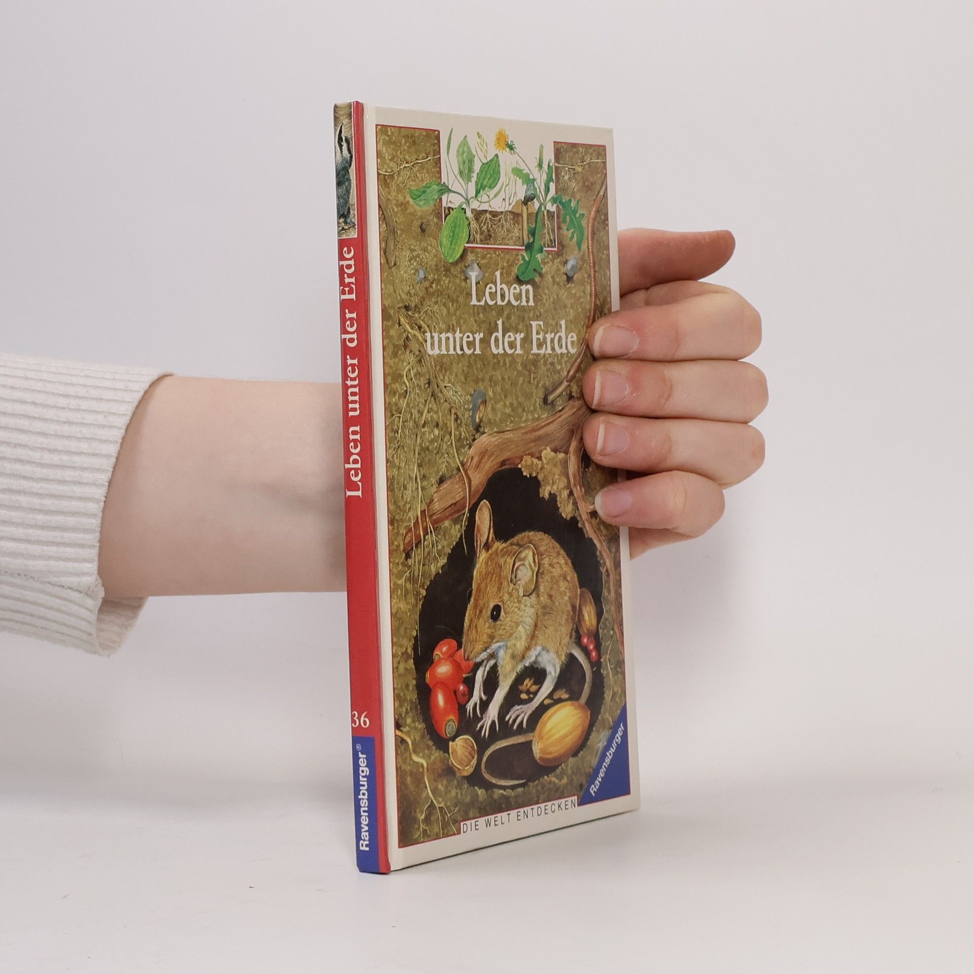 Charlotte Ruffault Leben unter der Erde