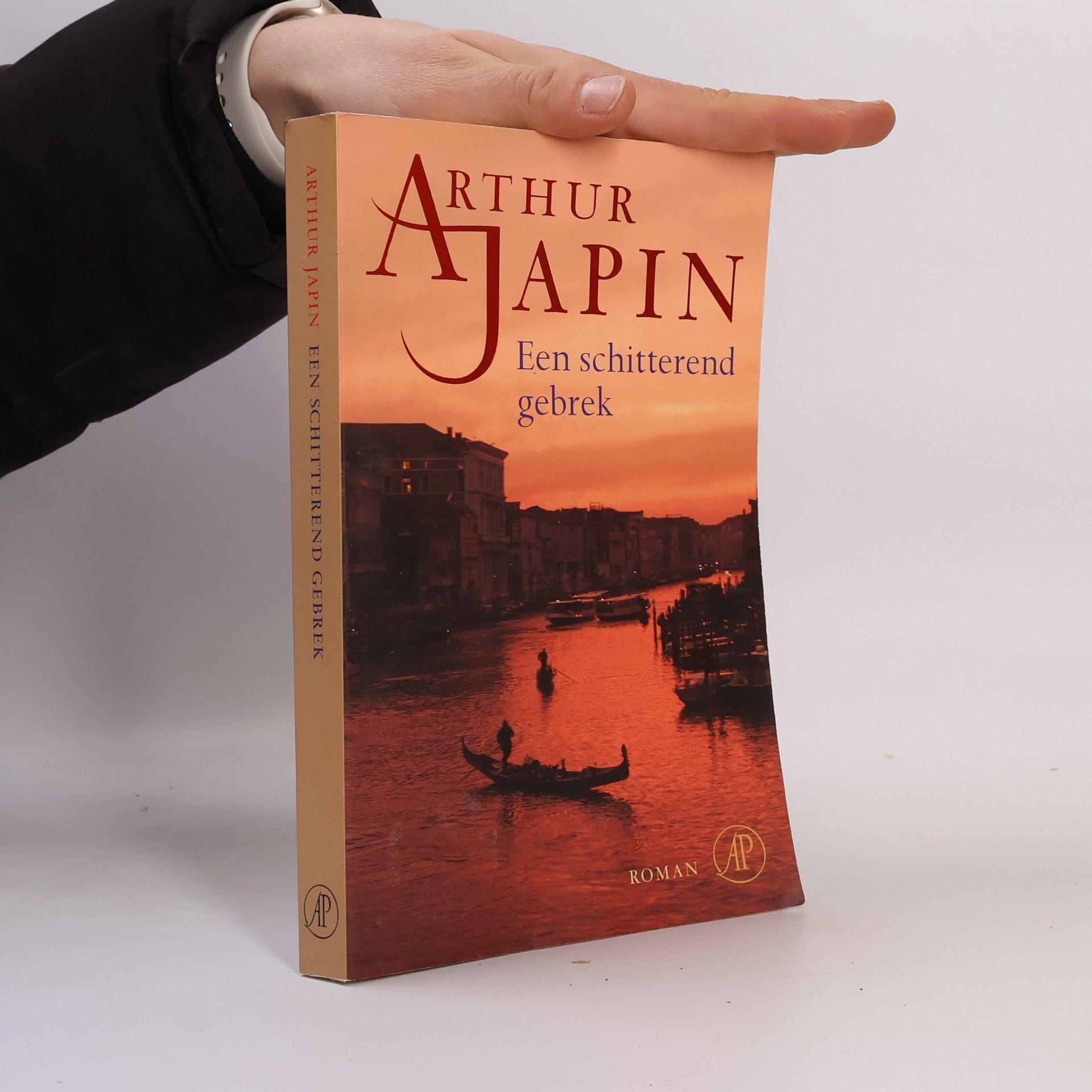 Arthur Japin Een schitterend gebrek