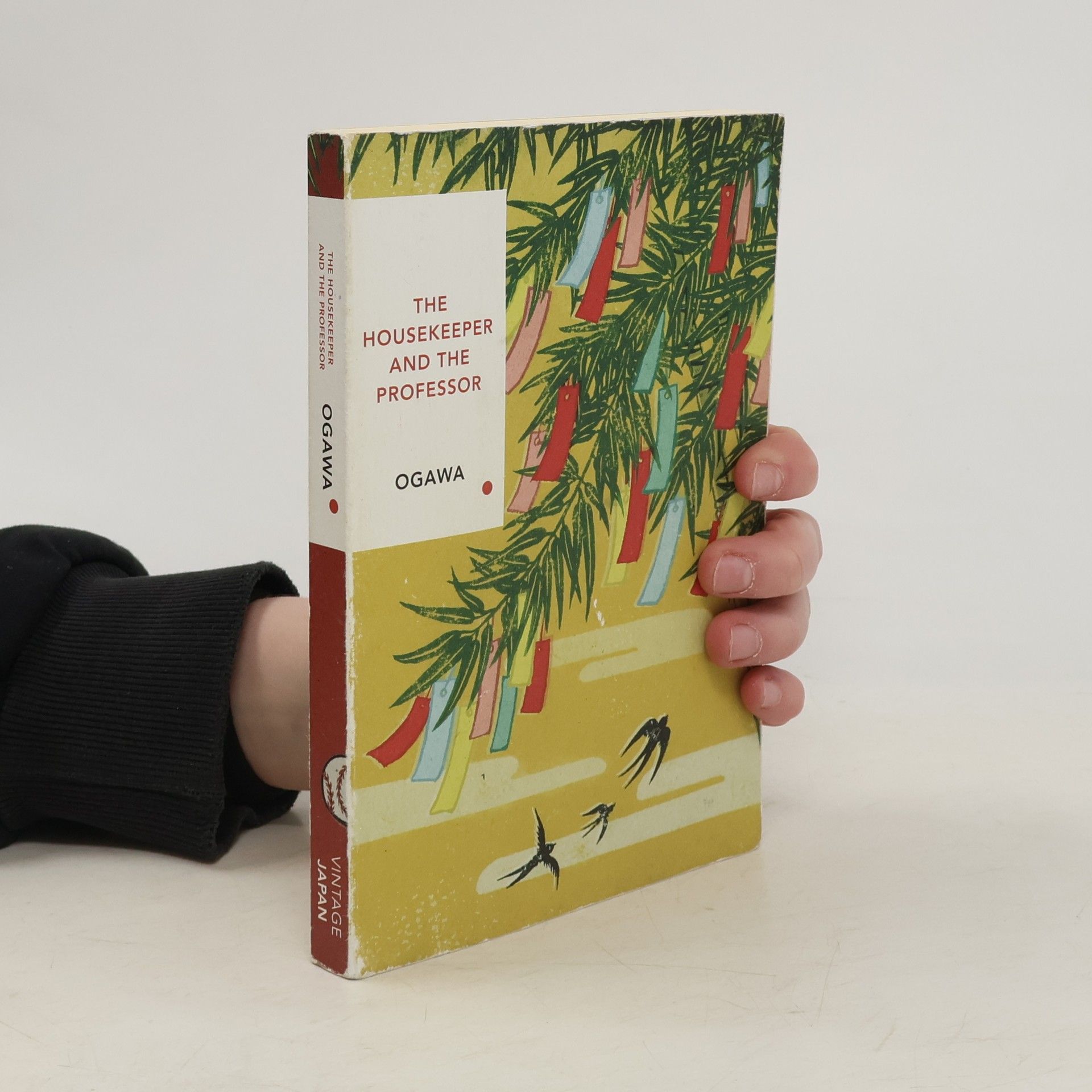 Yōko Ogawa The Housekeeper and the Professor