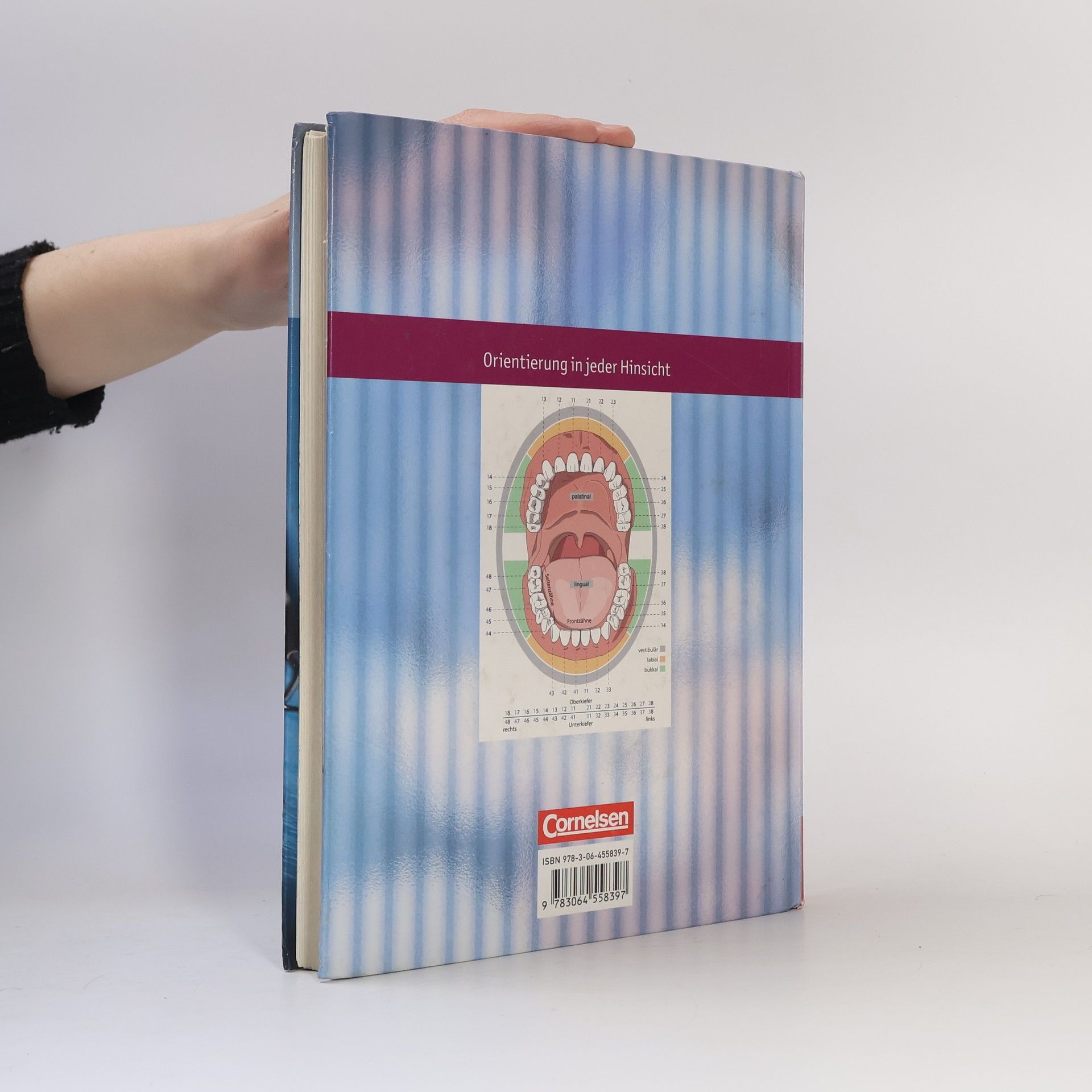 Behandlungsassistenz in der Zahnarztpraxis