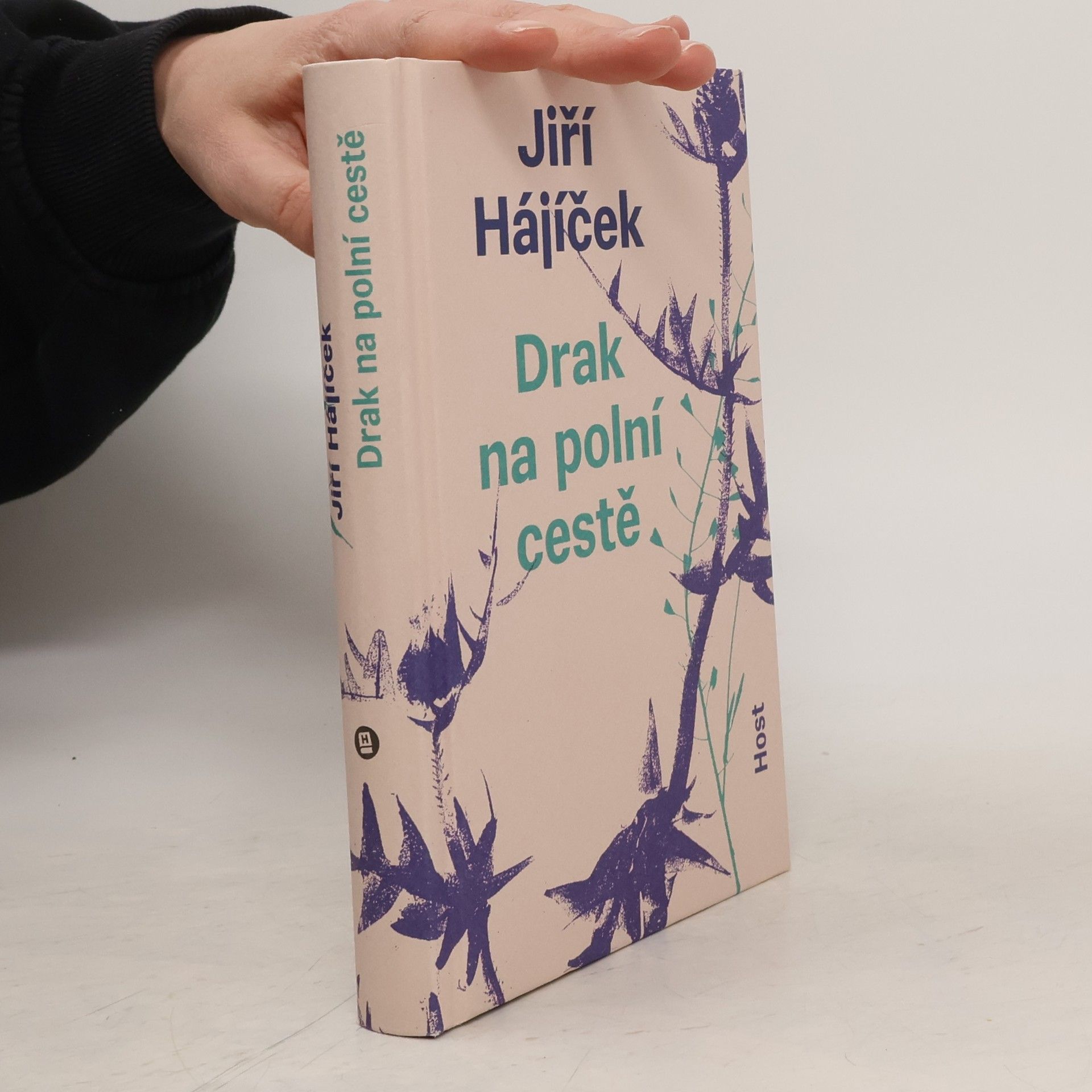 Jiří Hájíček Drak na polní cestě