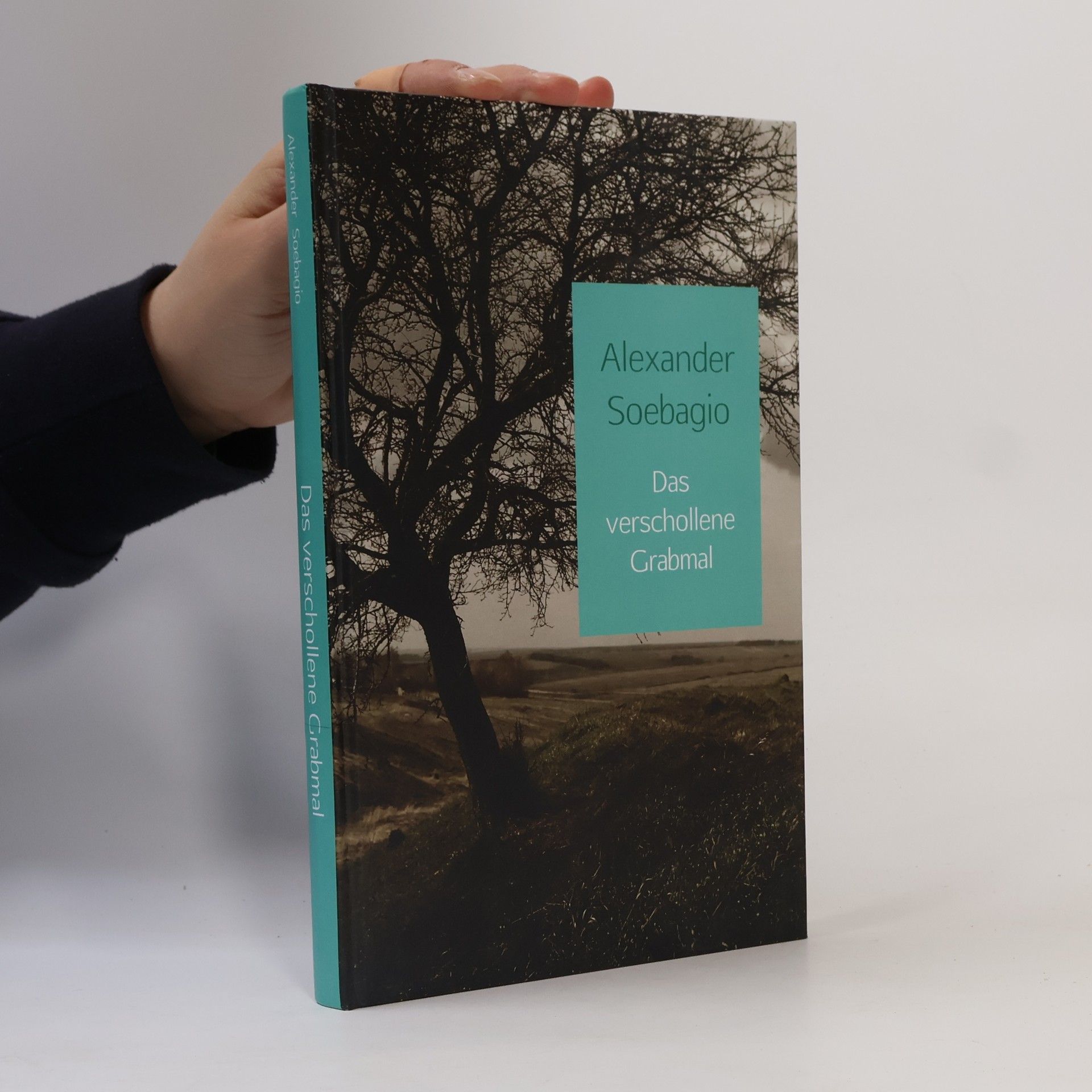 Alexander Soebagio Das verschollene Grabmal