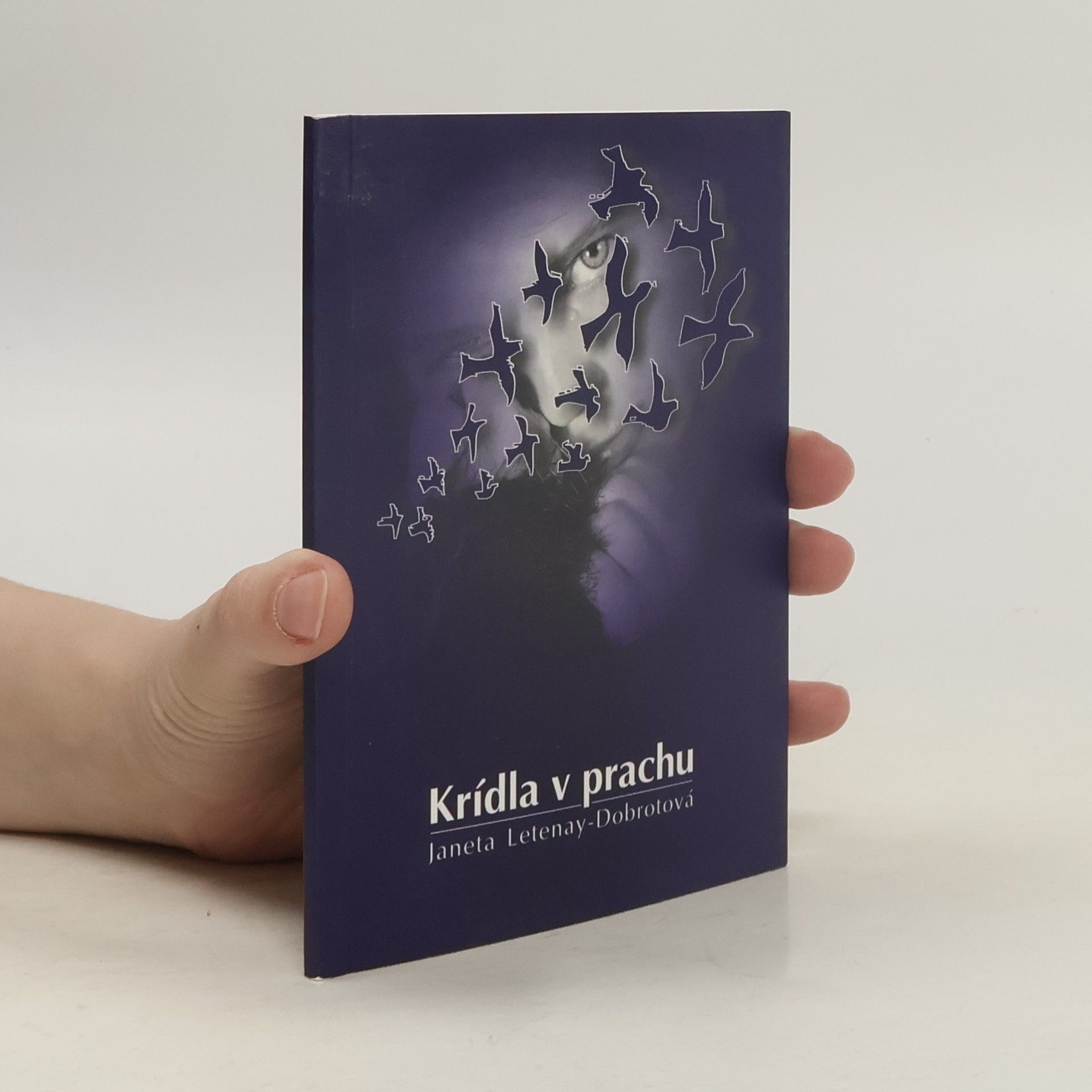 Janeta Letenay Dobrotova Krídla v prachu