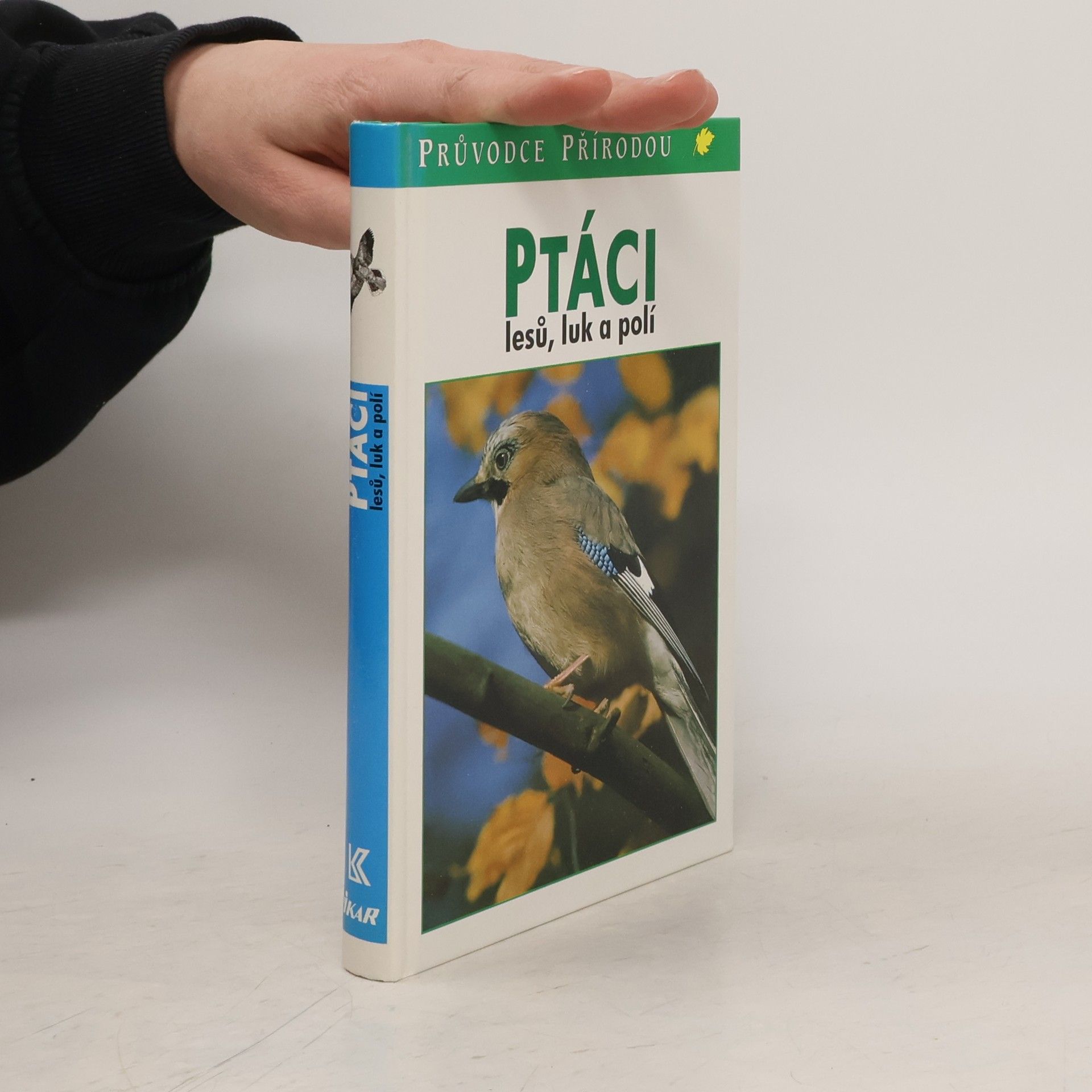 Sauer Frieder Ptáci lesů, luk a polí