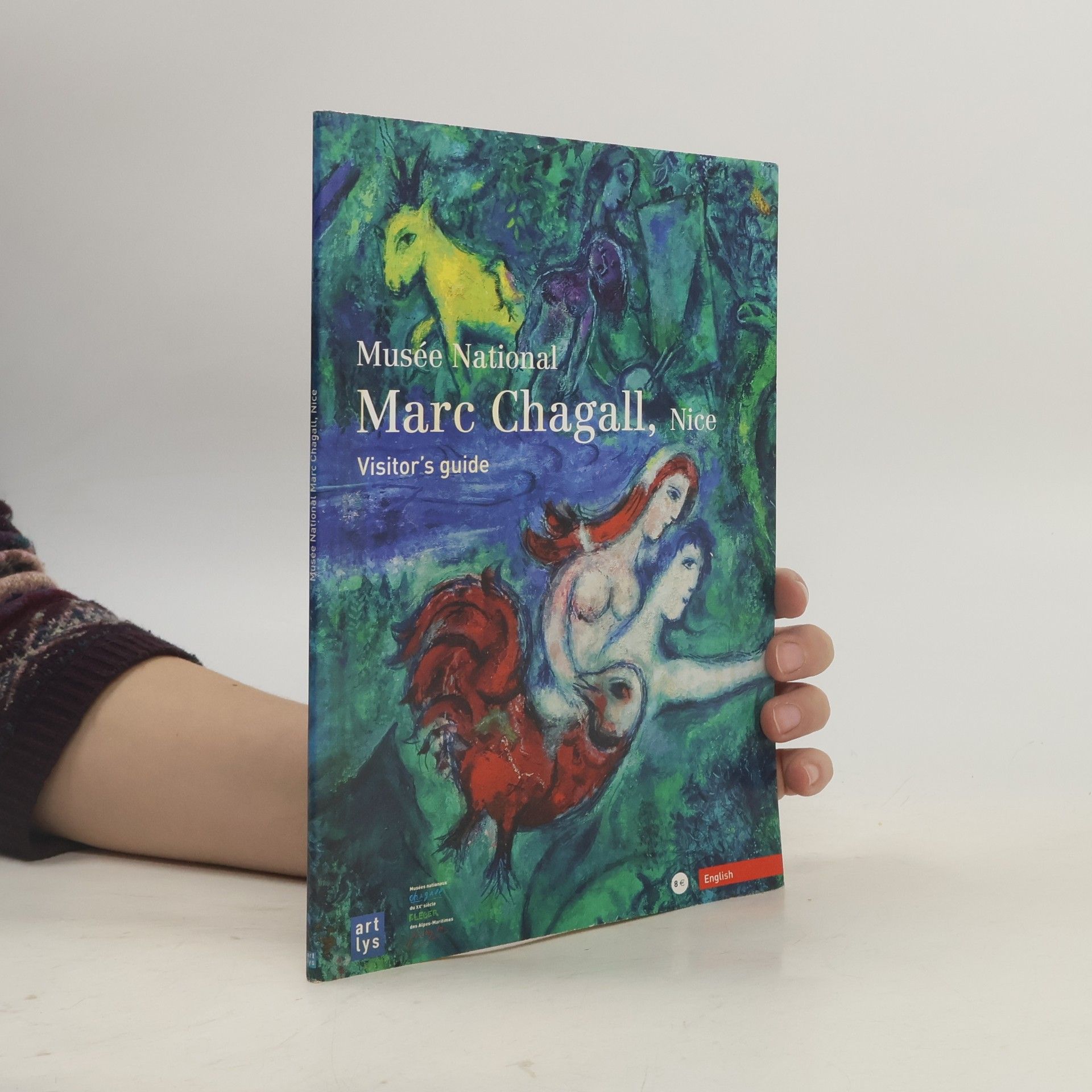 Musée National Marc Chagall, Nice