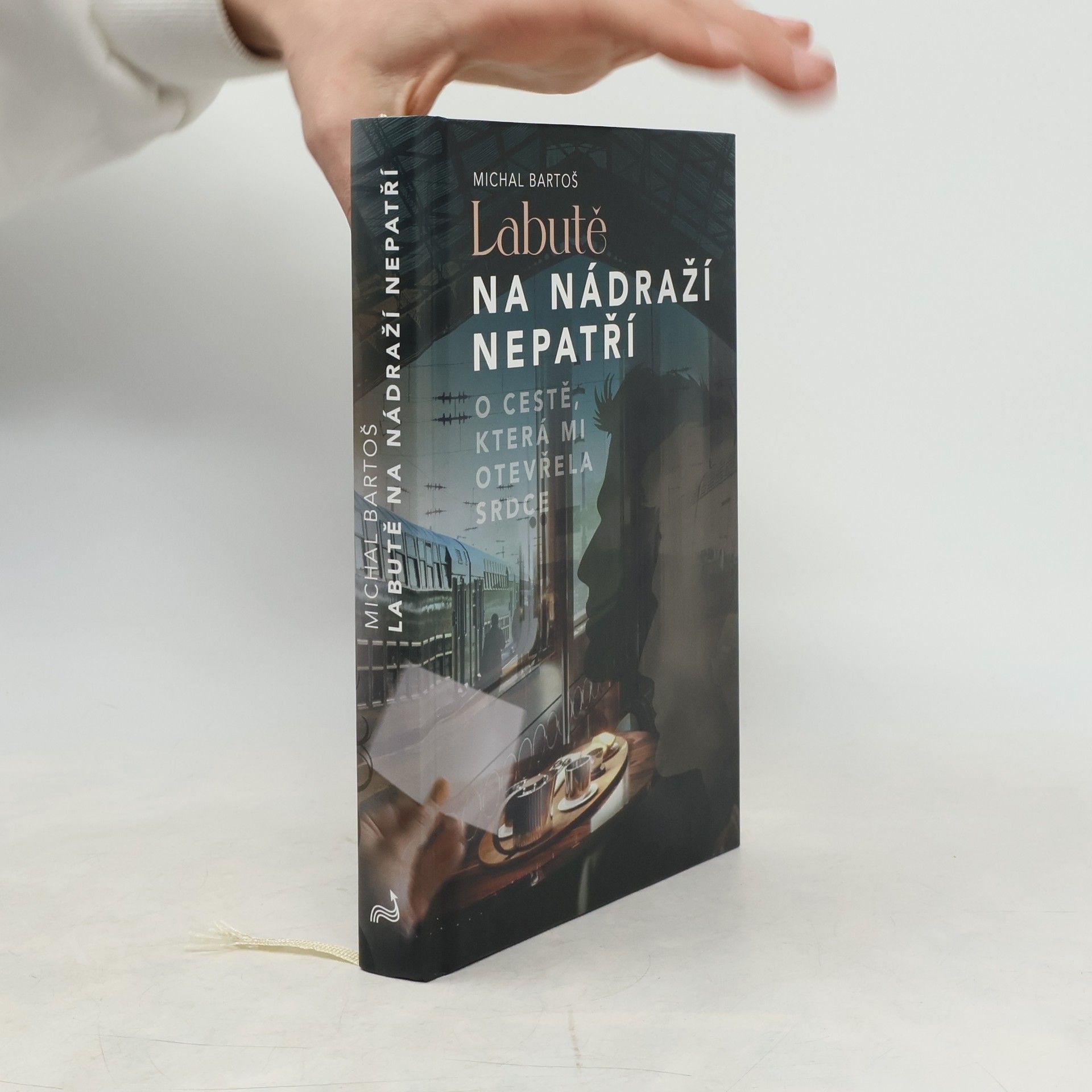 Labutě na nádraží nepatří