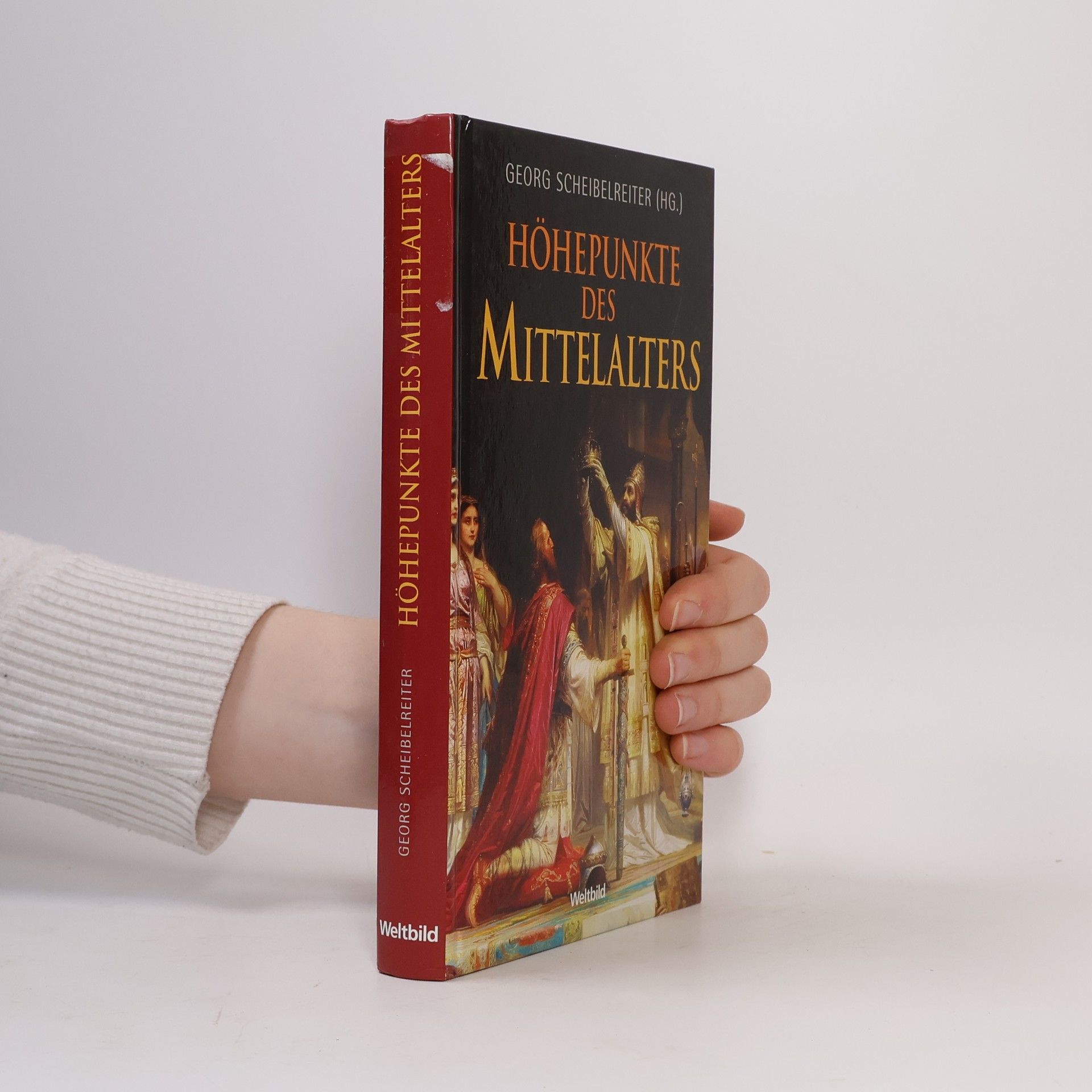 Georg Scheibelreiter Höhepunkte des Mittelalters