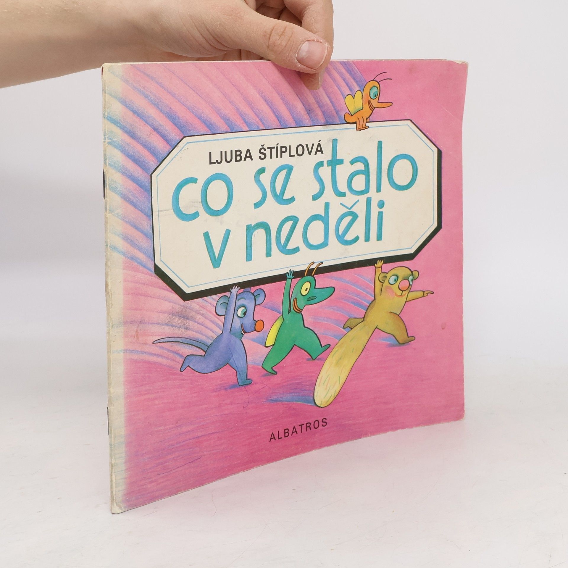 Ljuba Štíplová Co se stalo v neděli