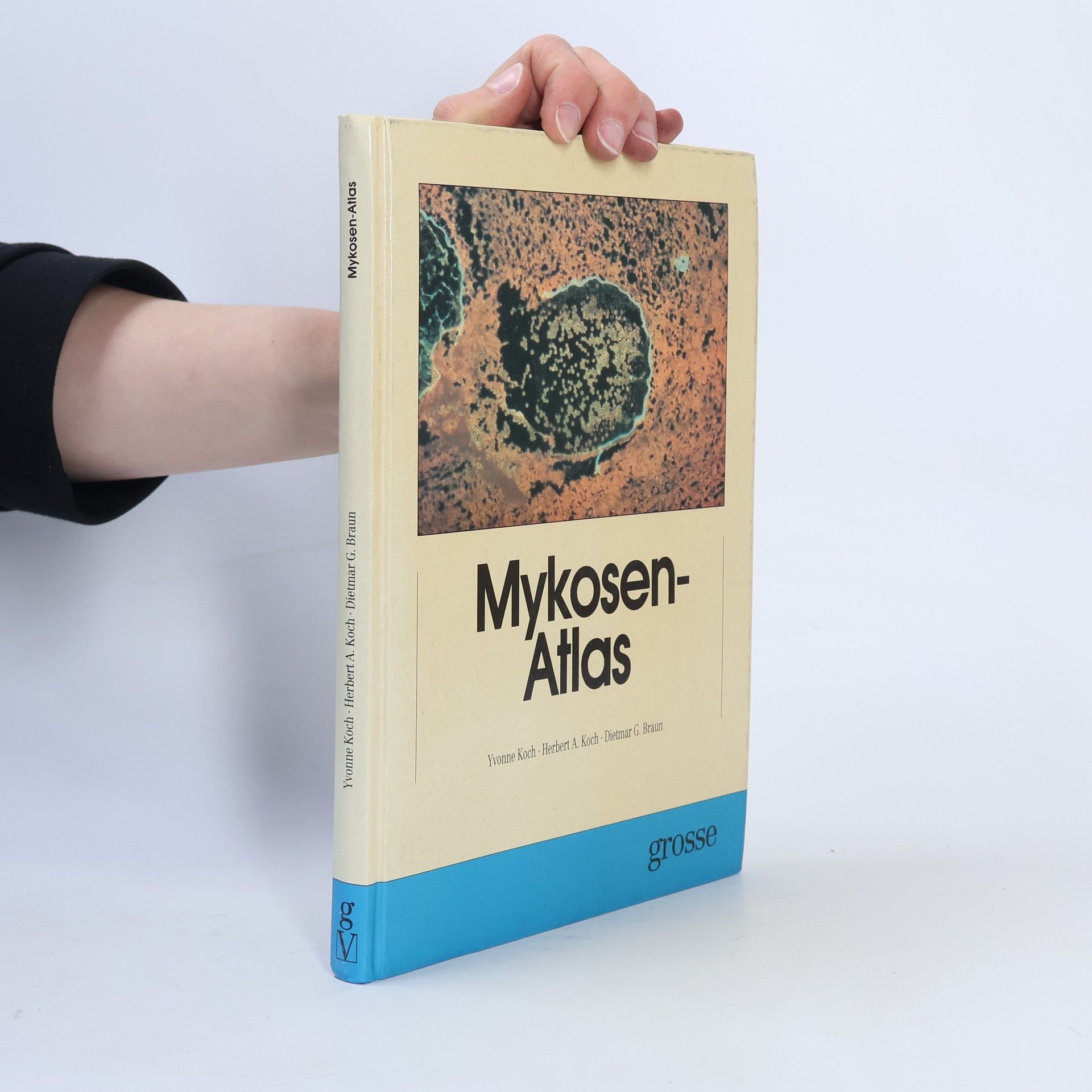 Mykosen-Atlas