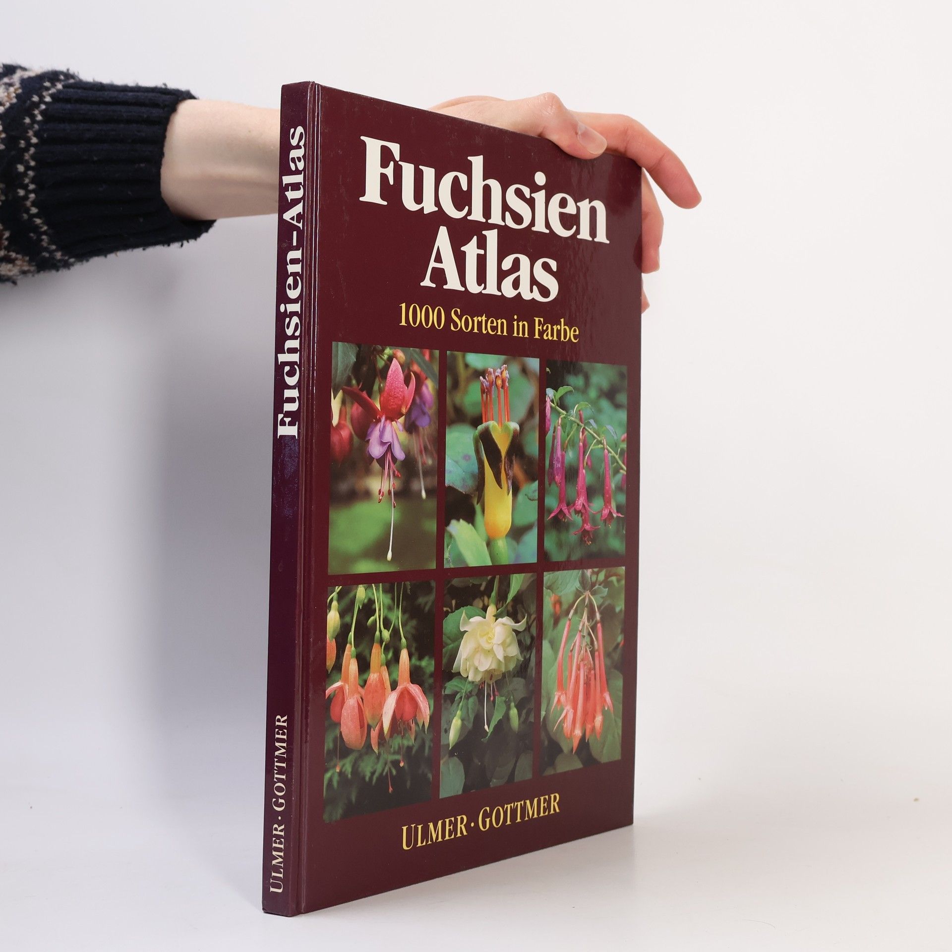 Miep Nijhuis Fuchsien-Atlas
