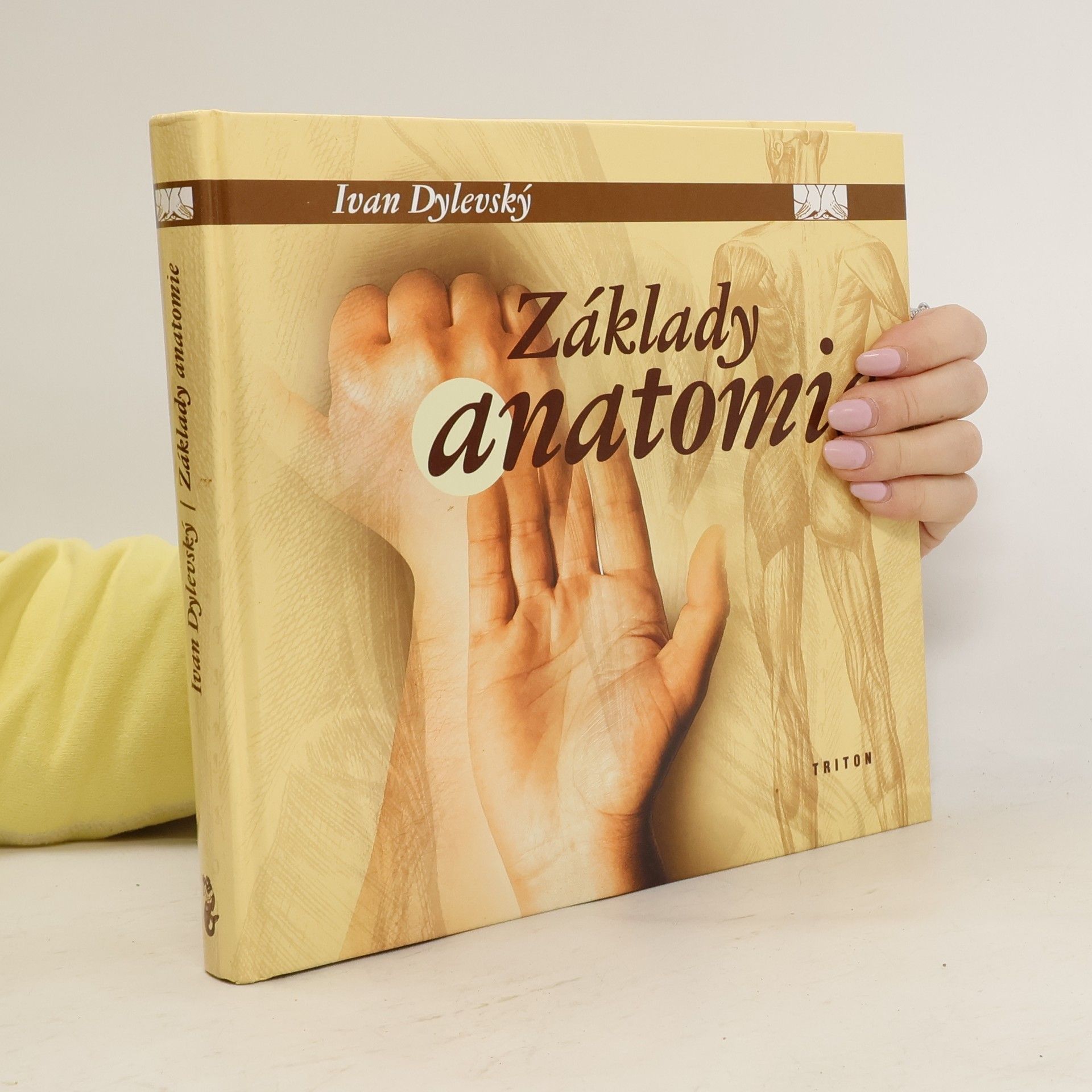 Základy anatomie