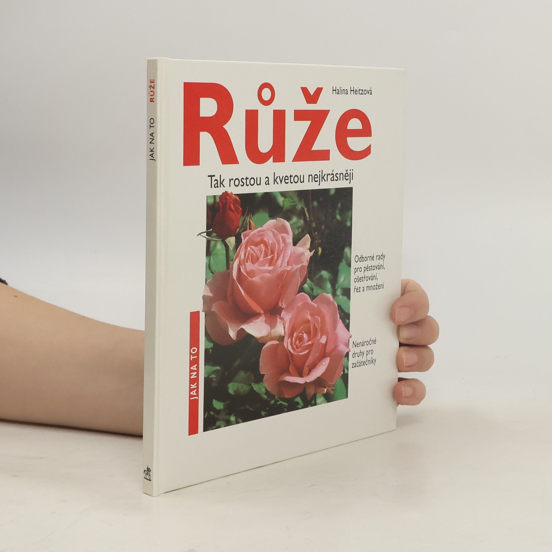 Růže