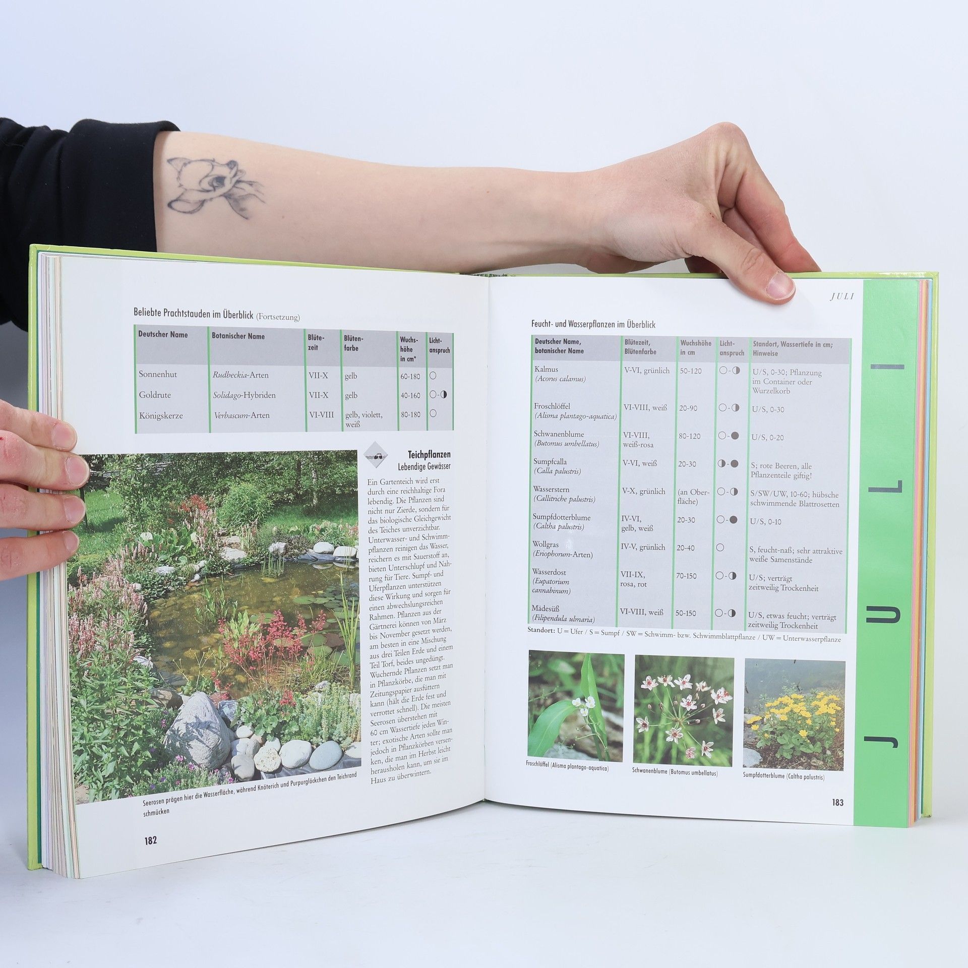 Karin Greiner Falken Gartenjahr