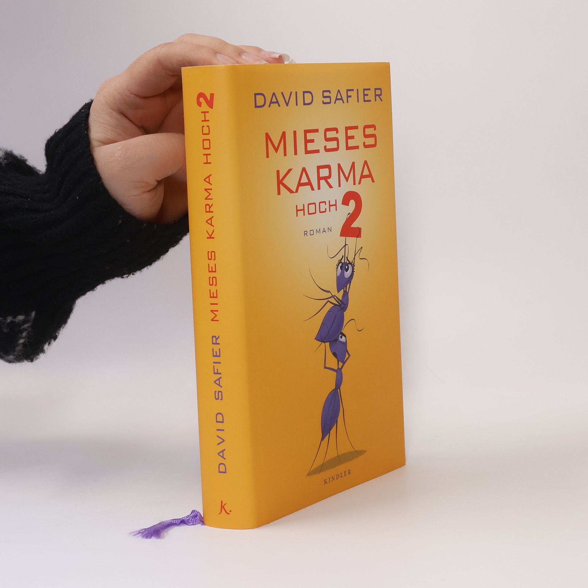 David Safier Mieses Karma hoch 2