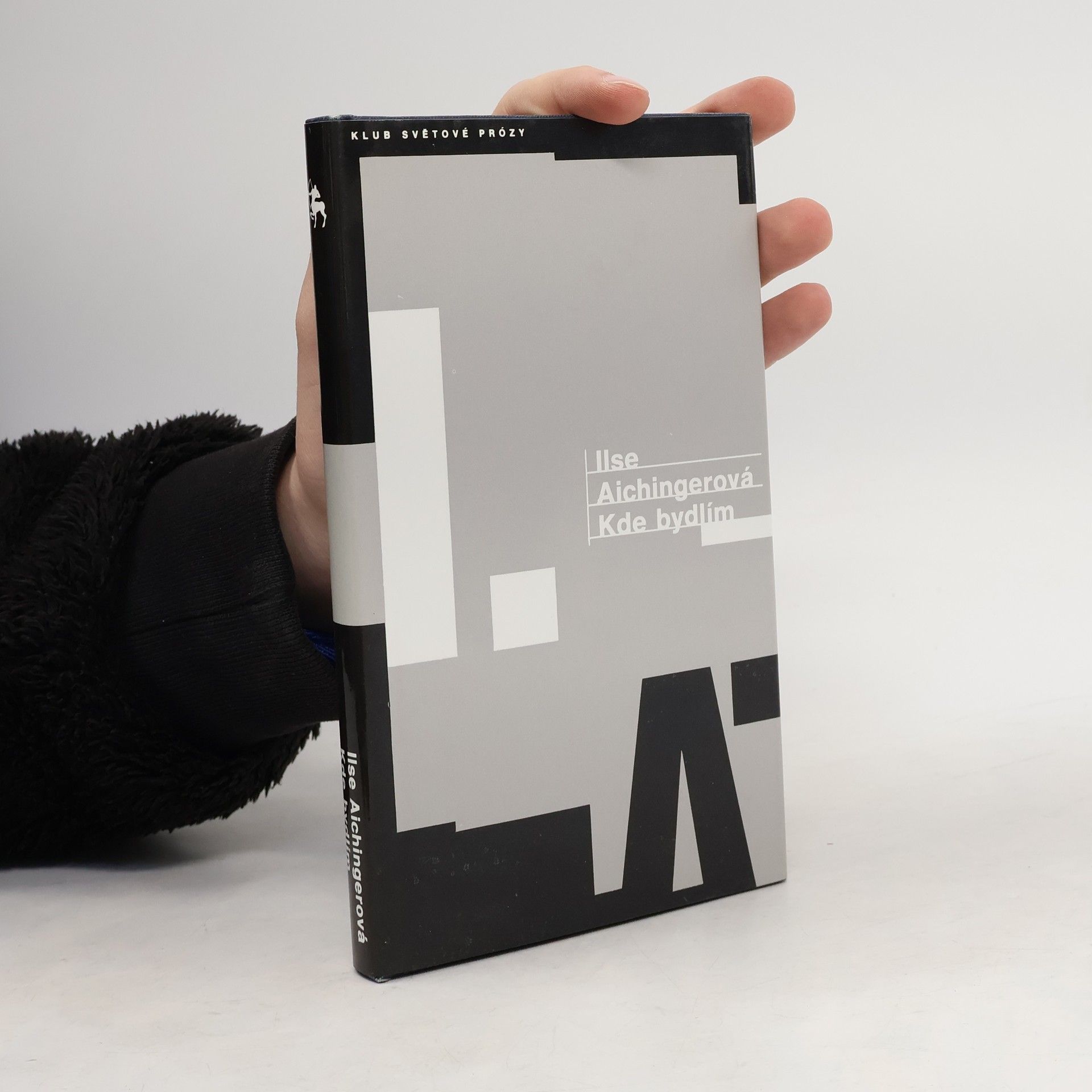 Ilse Aichinger Kde bydlím