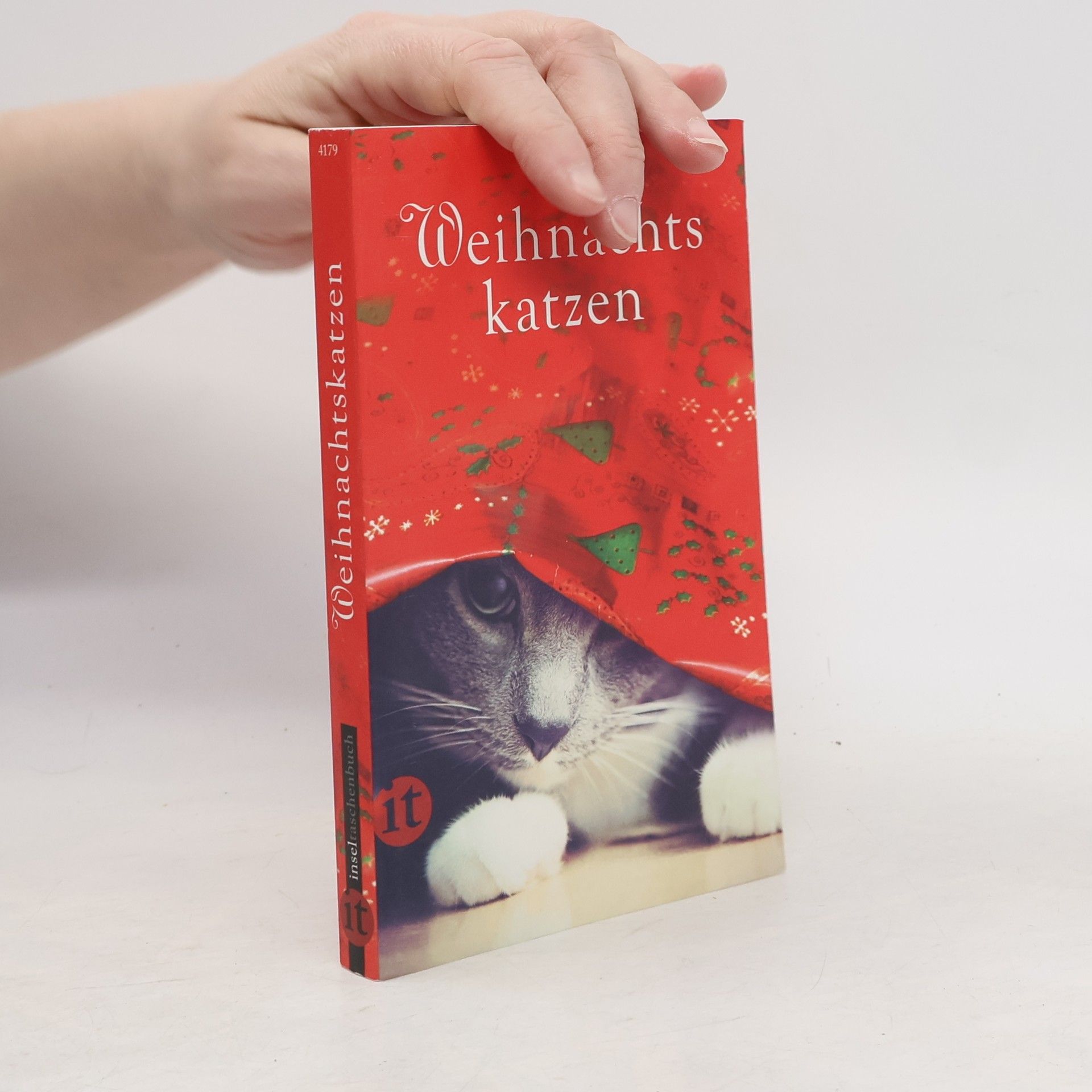 Gesine Dammel Weihnachtskatzen