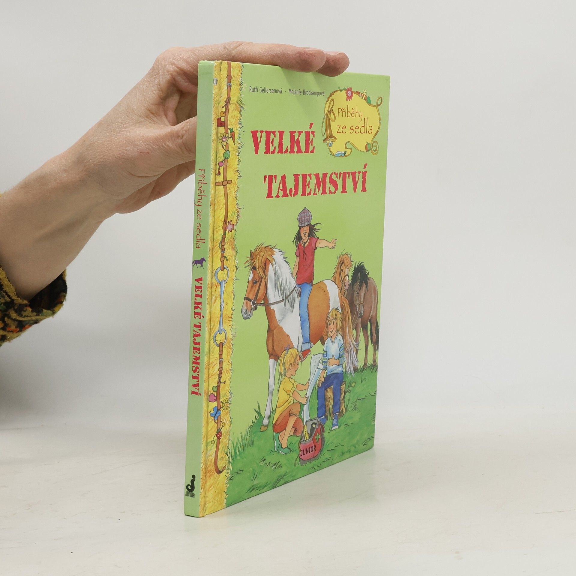 Ruth Gellersen Příběhy ze sedla. Velké tajemství