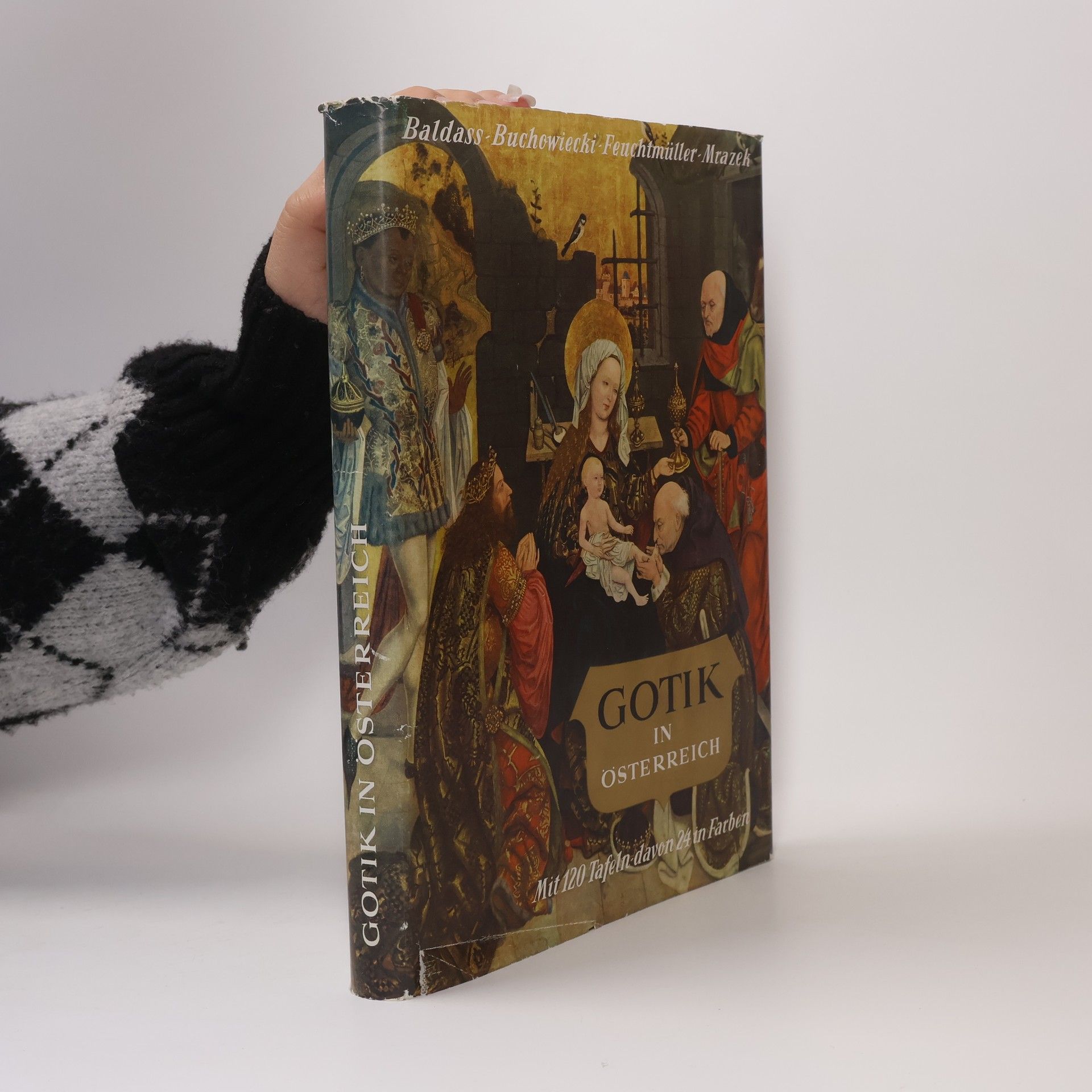 Autorenkollektiv Gotik in Österreich