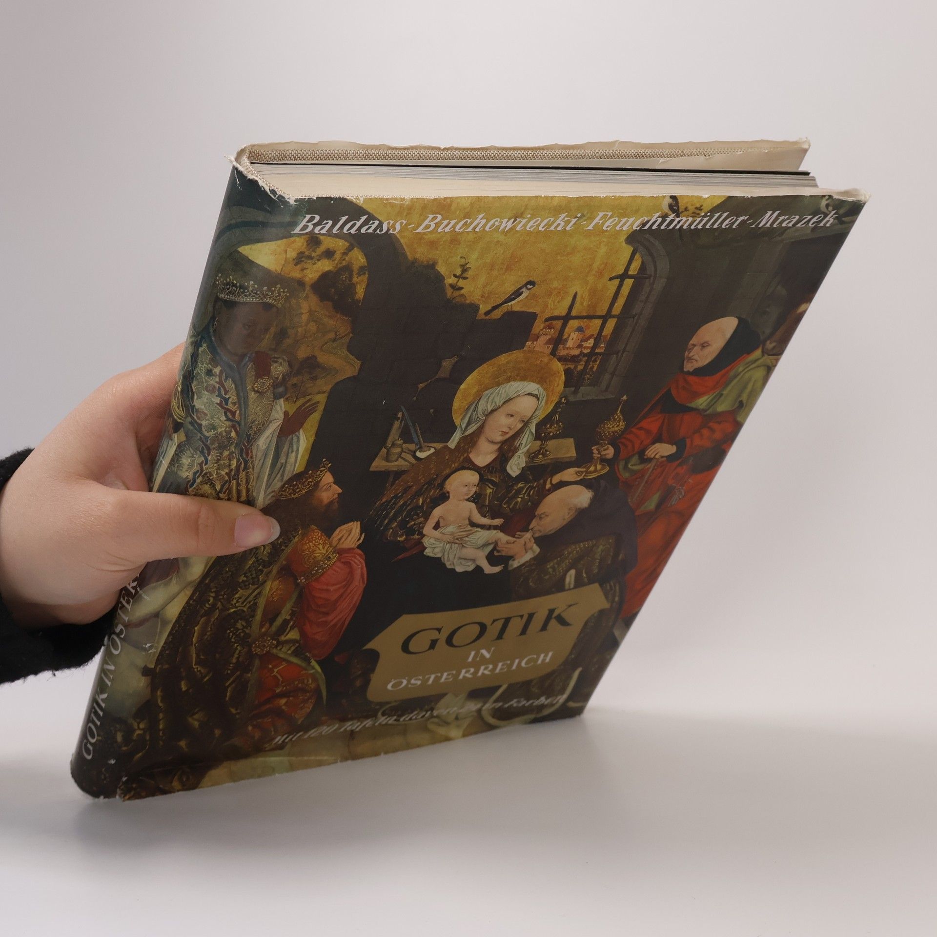 Autorenkollektiv Gotik in Österreich