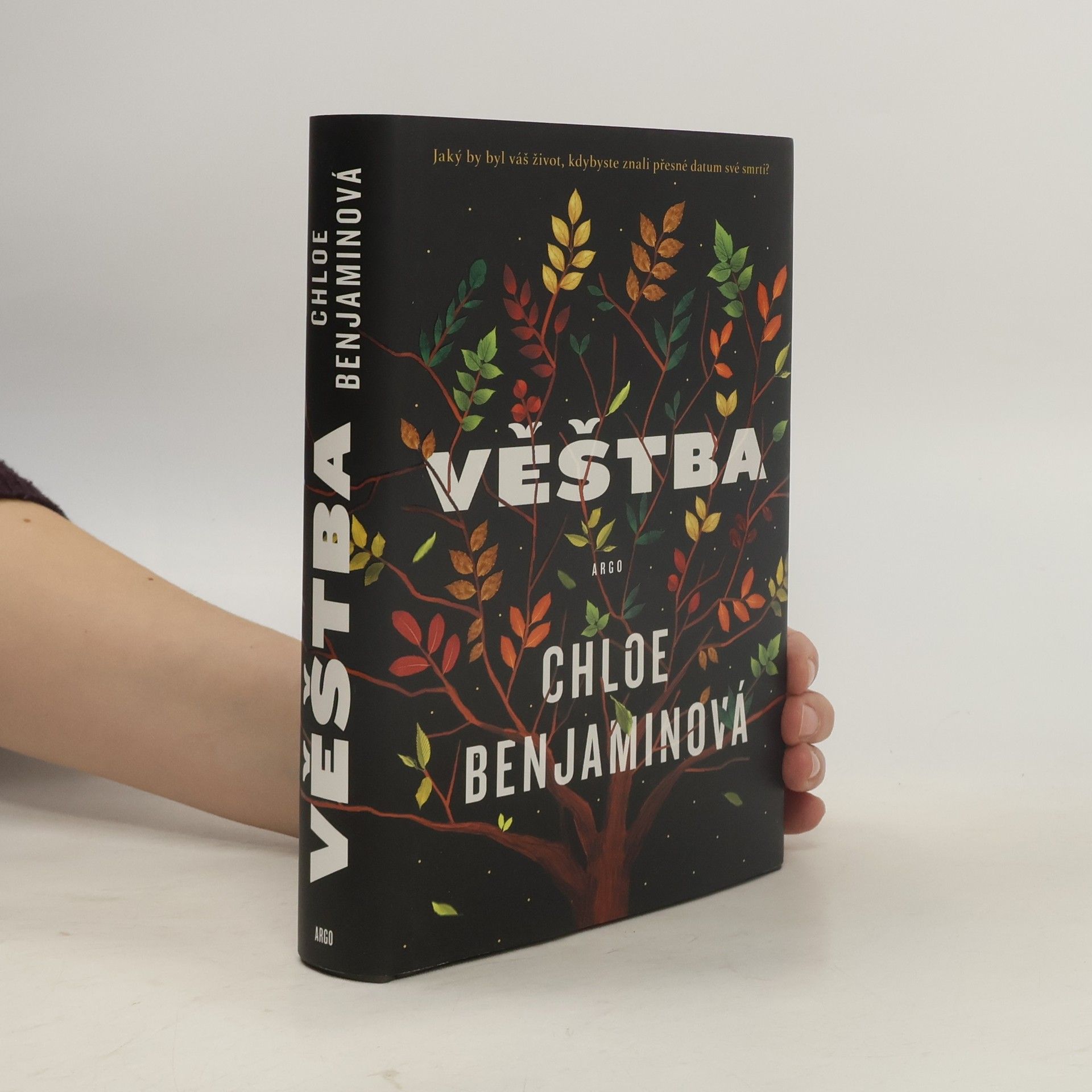 Chloe Benjamin Věštba