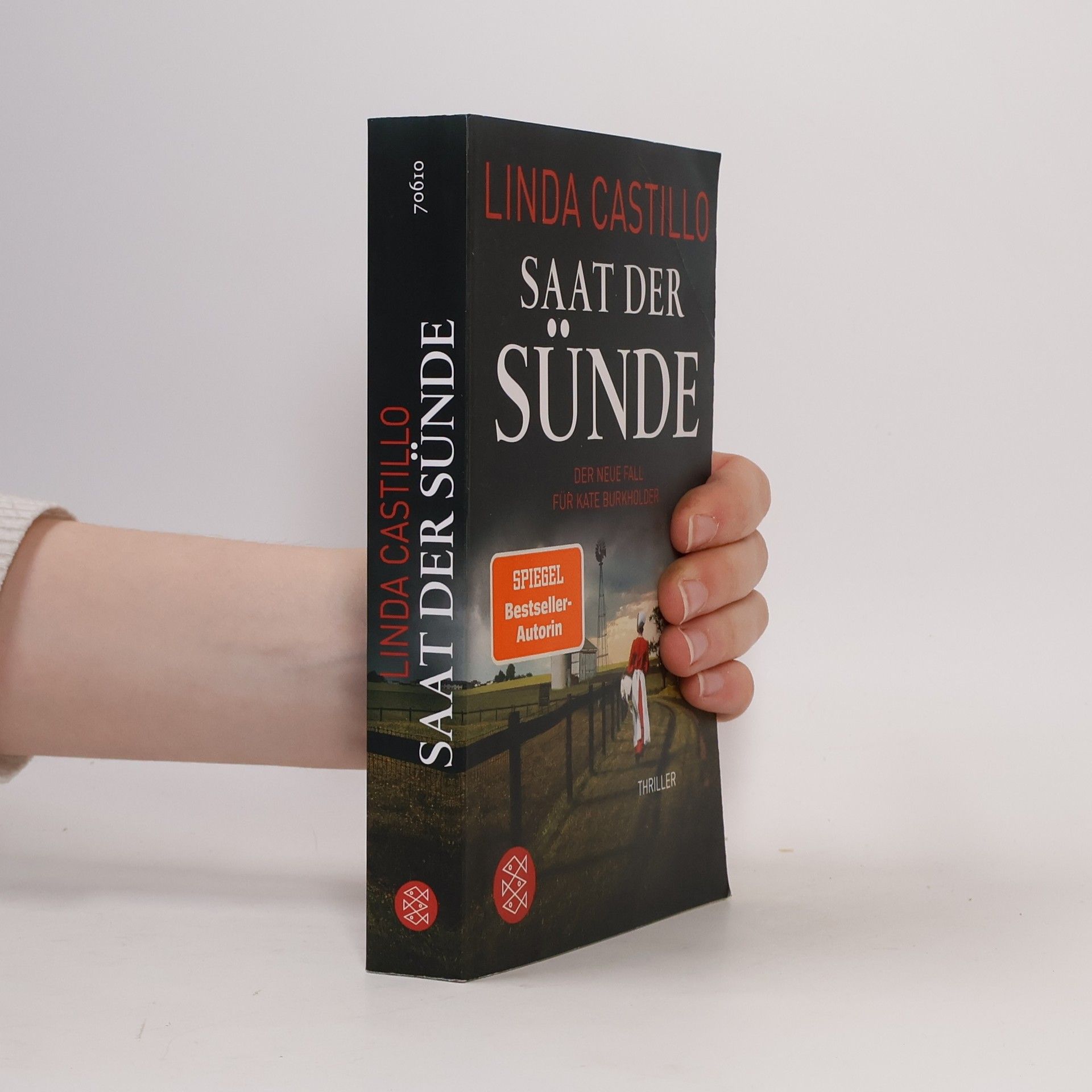 Linda Castillo Saat der Sünde