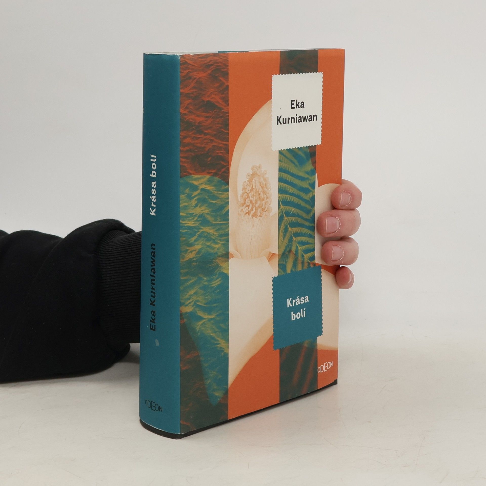 Eka Kurniawan Krása bolí