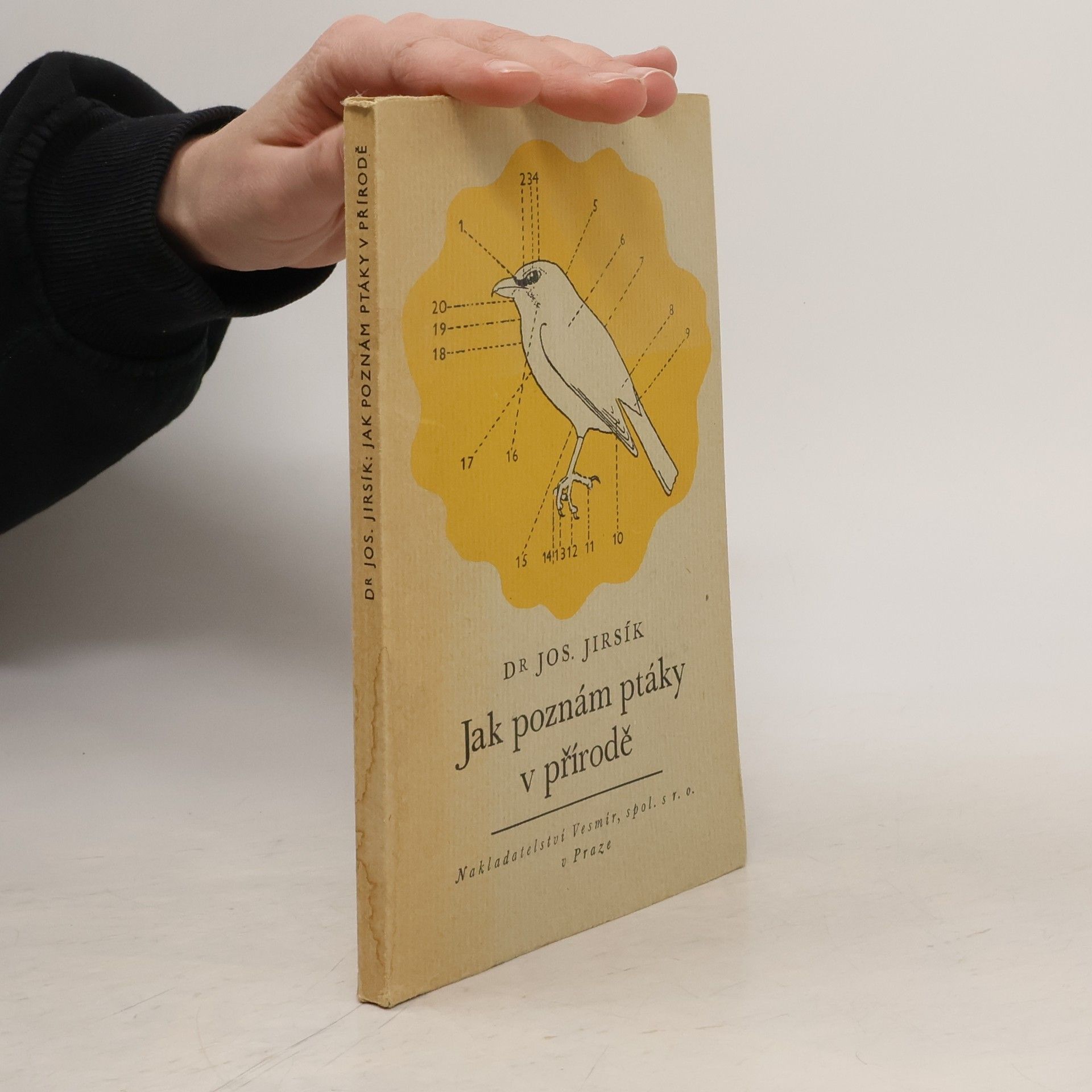 Josef Jirsík Jak poznám ptáky v přírodě : úplný klíč k poznávání všeho u nás hnízdícího k nám se zatoulávajícího ptactva ve volné přírodě