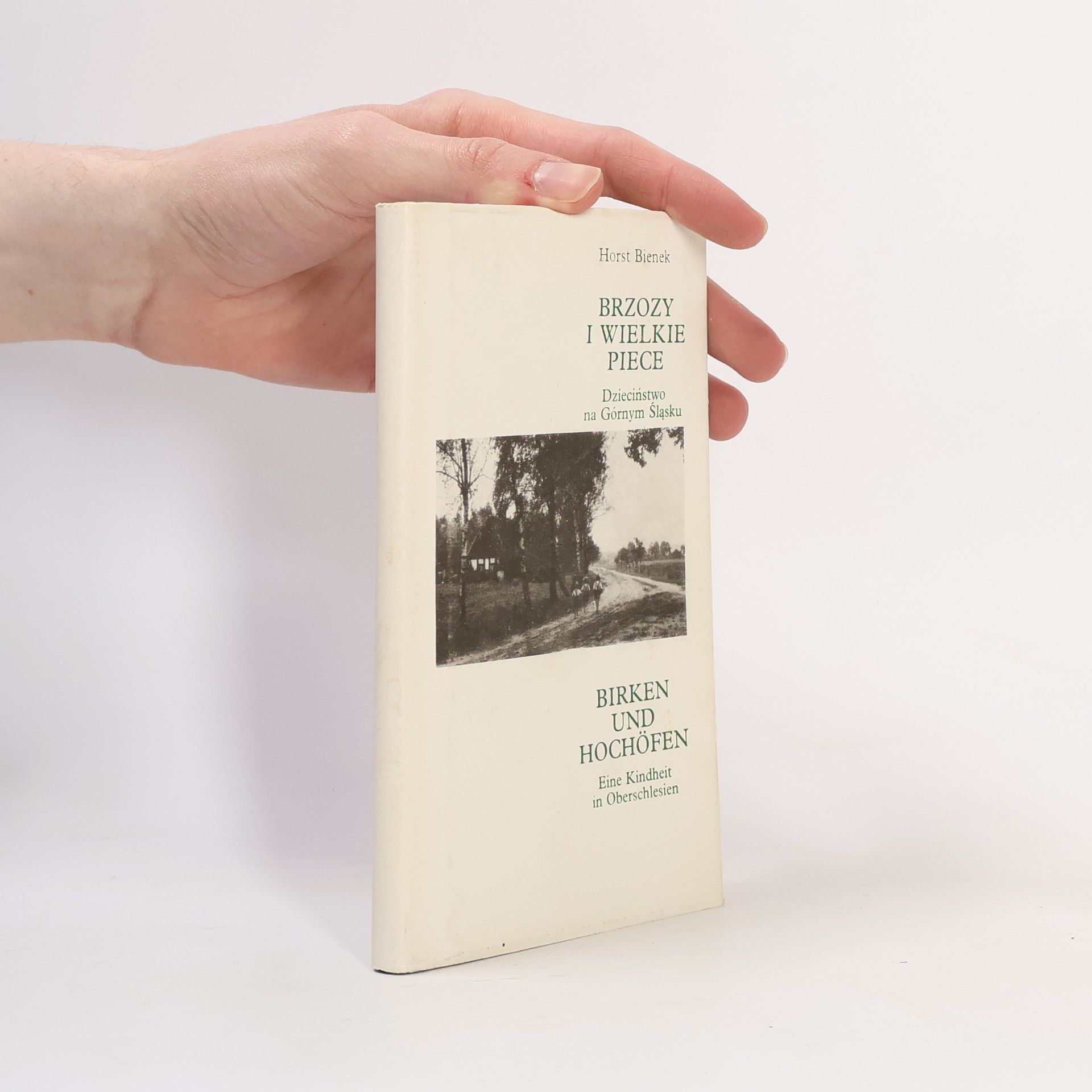Horst Bienek Brzozy i wielkie piece