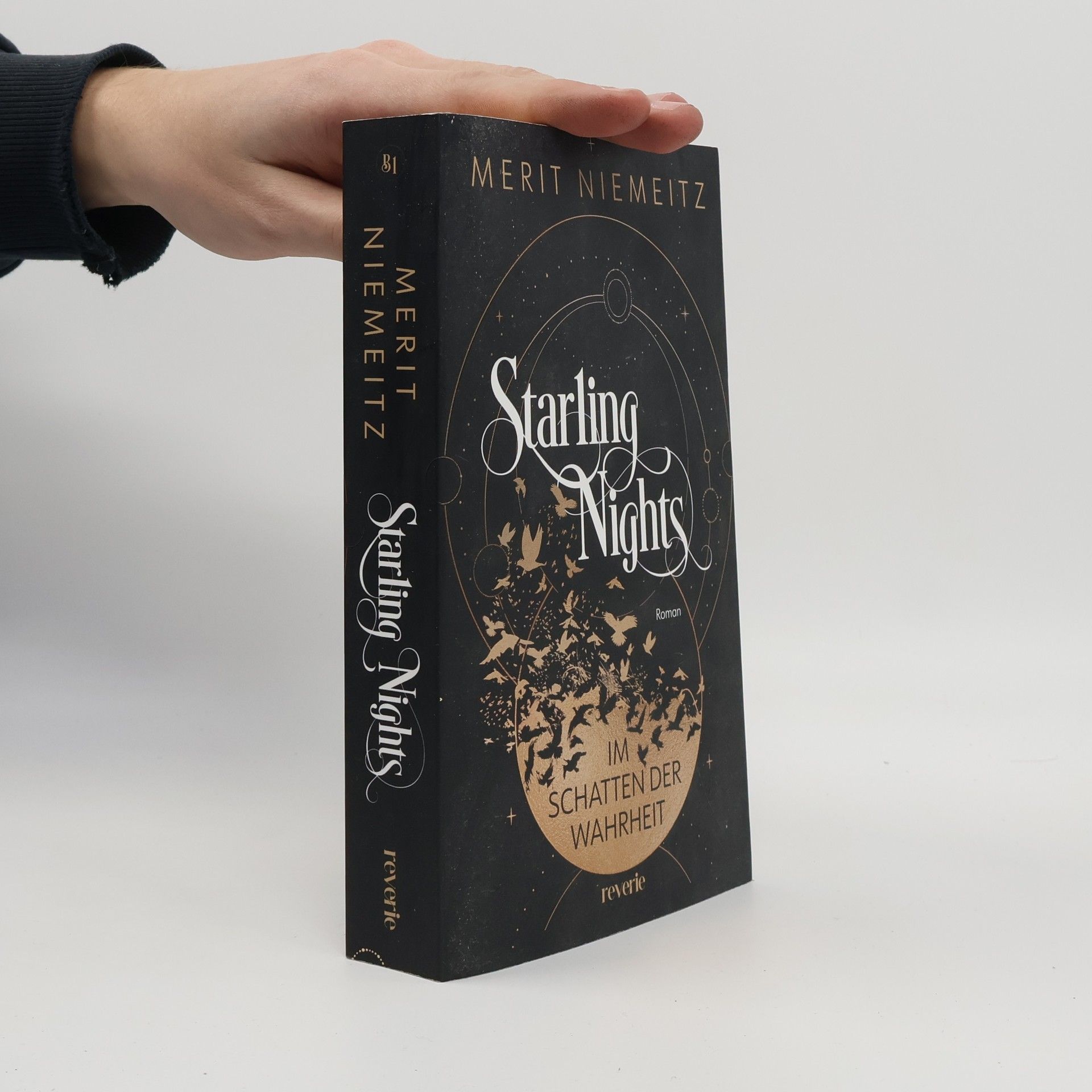 Merit Niemeitz Starling Nights 1