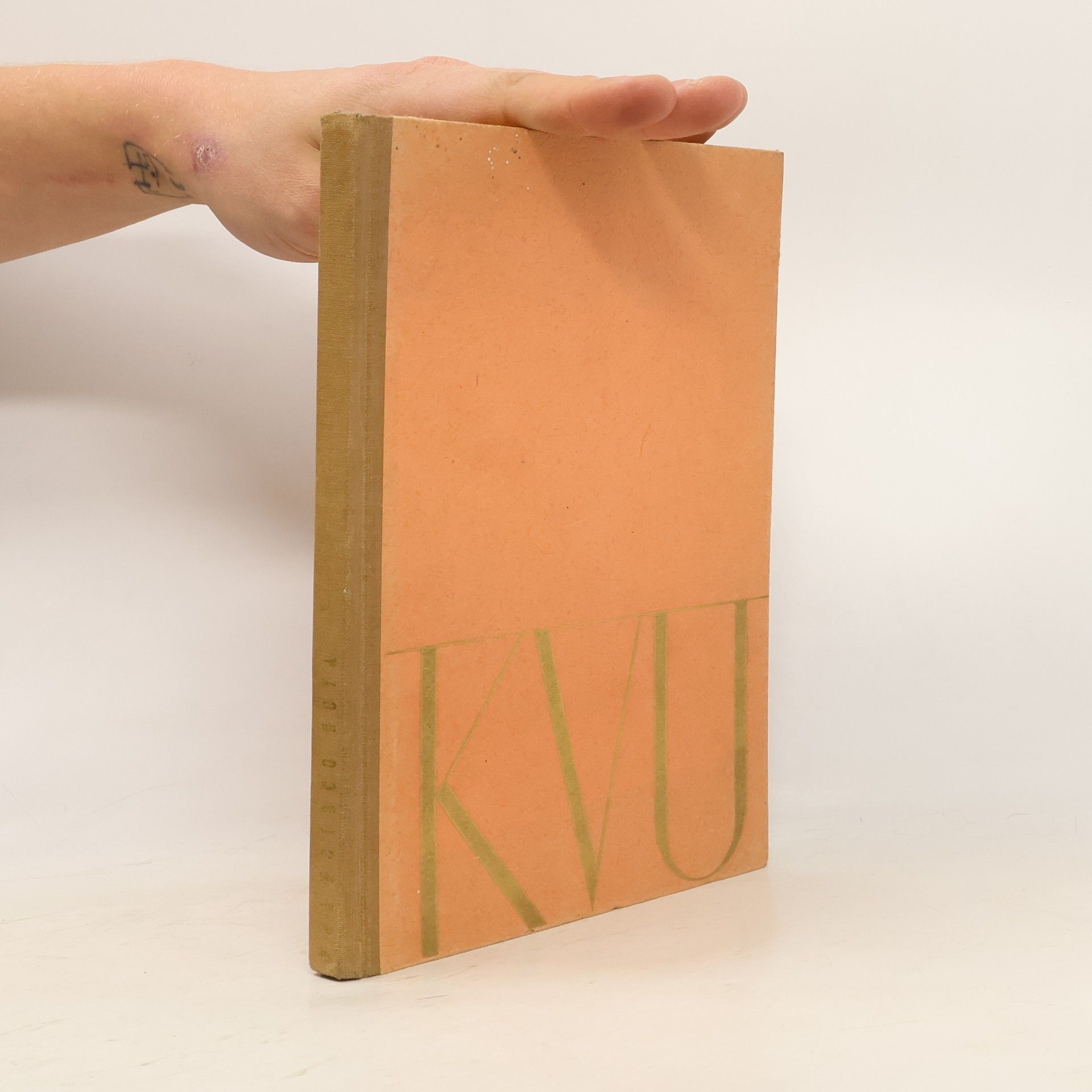 Alžběta Güntherová-Mayerová Francisco de Goya y Lucientes