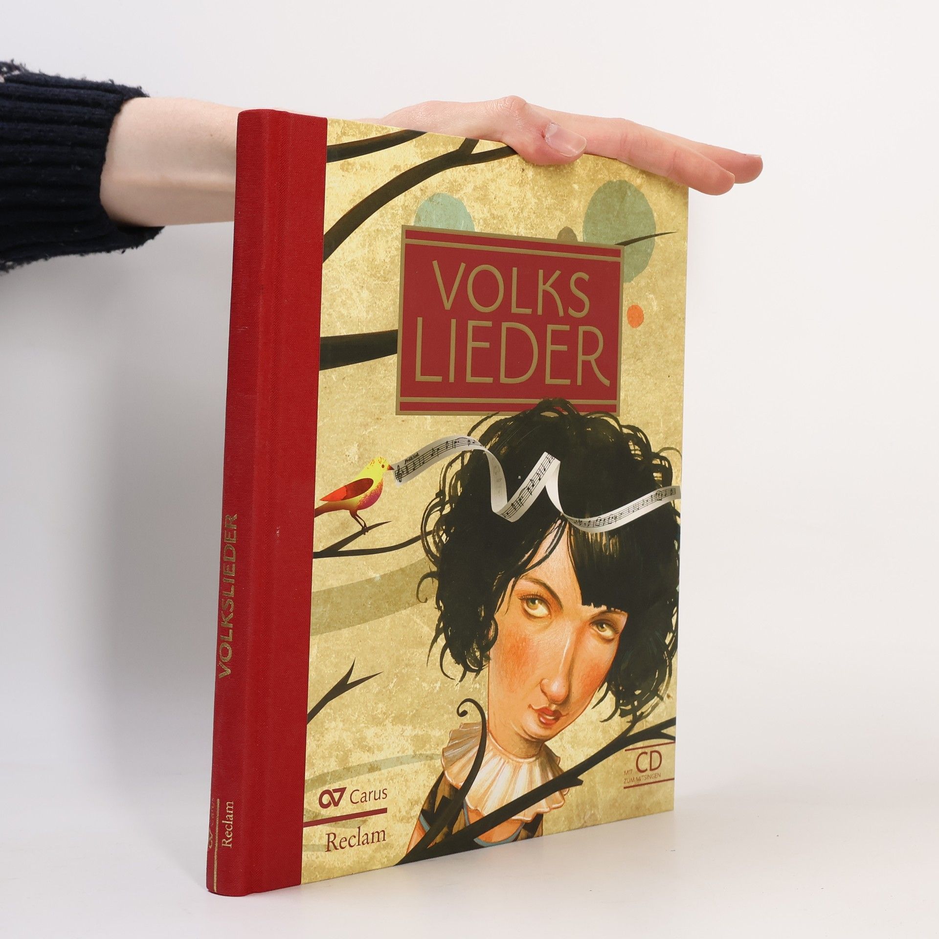 Collectif d'auteurs Volkslieder - Liederbuch + Mitsing-CD. Buch
