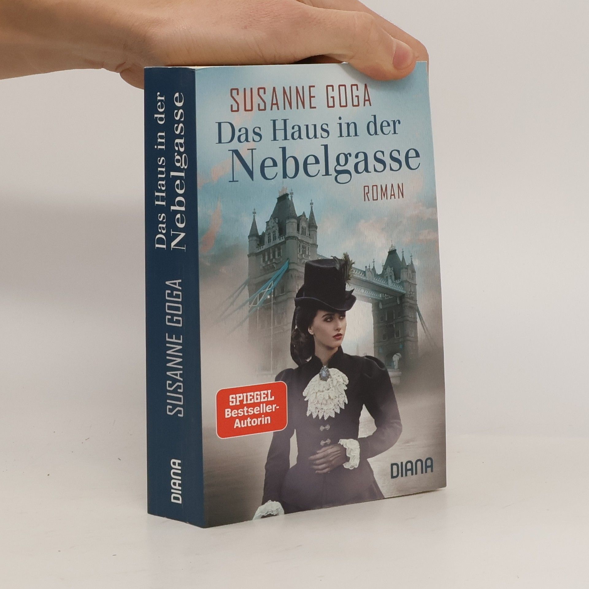 Susanne Goga Das Haus in der Nebelgasse