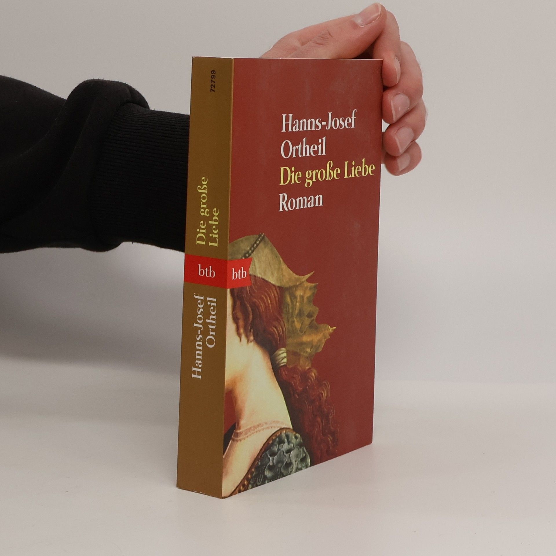 Hanns-Josef Ortheil Die große Liebe : Roman