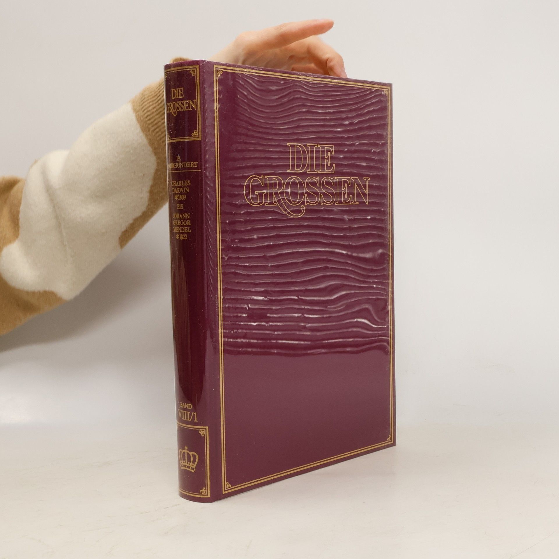 Kolektiv autorů Die Grossen VIII/1