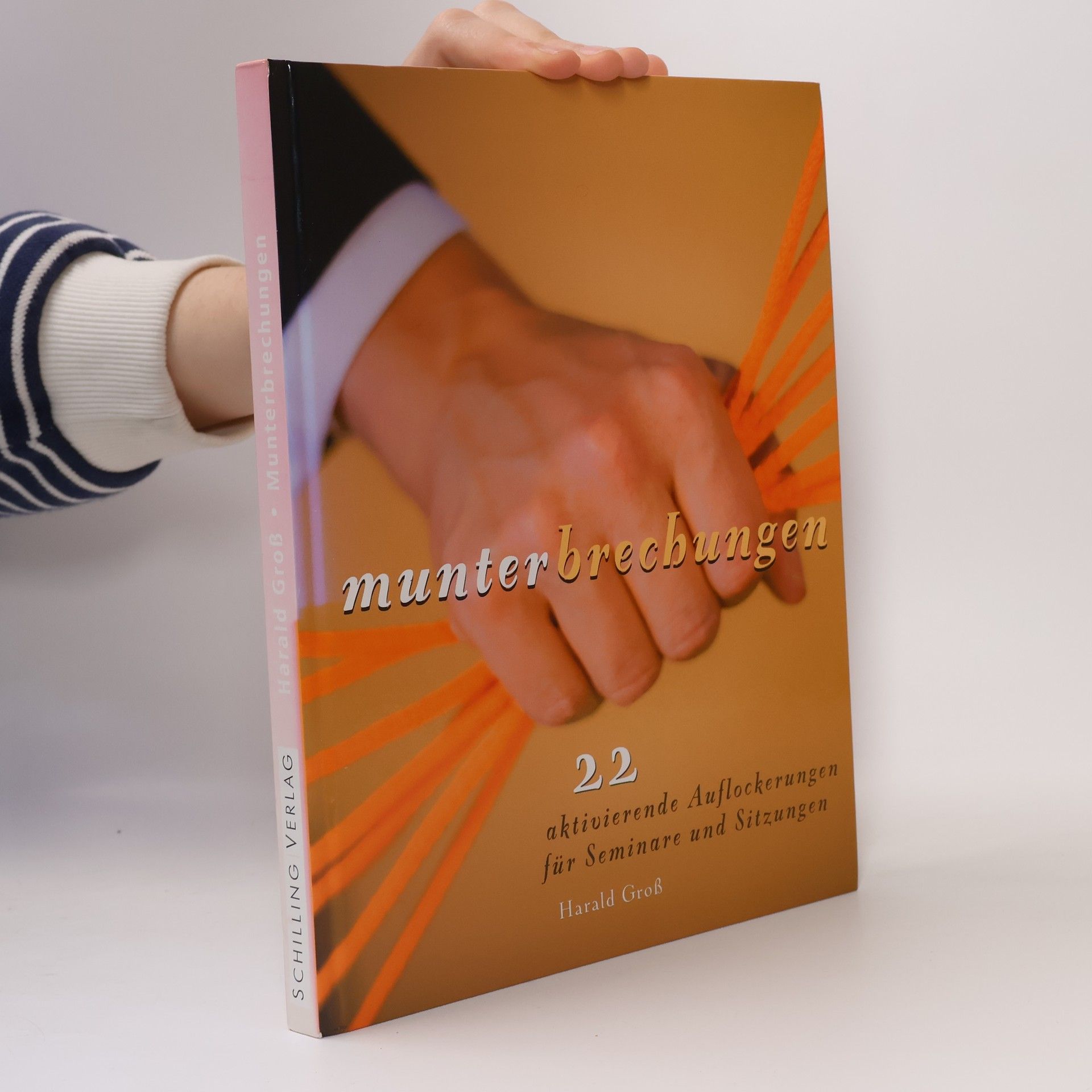 Harald Groß Munterbrechungen