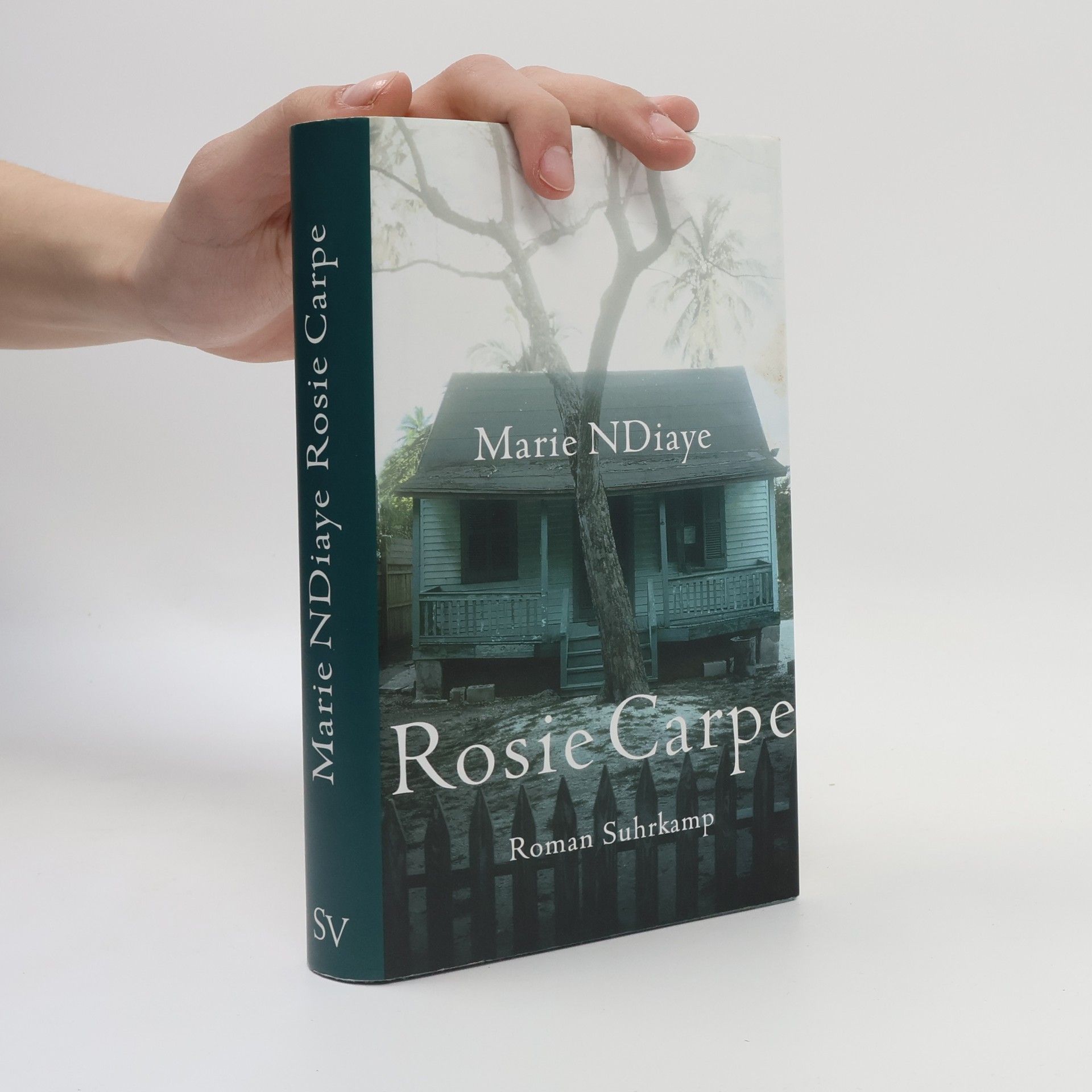 Marie Ndiaye Rosie Carpe