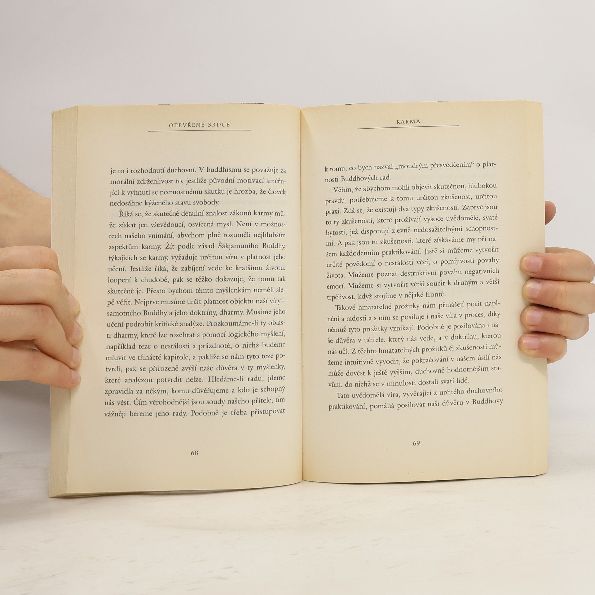 Nicholas Vreeland Otevřené srdce. Soucítění v denním životě