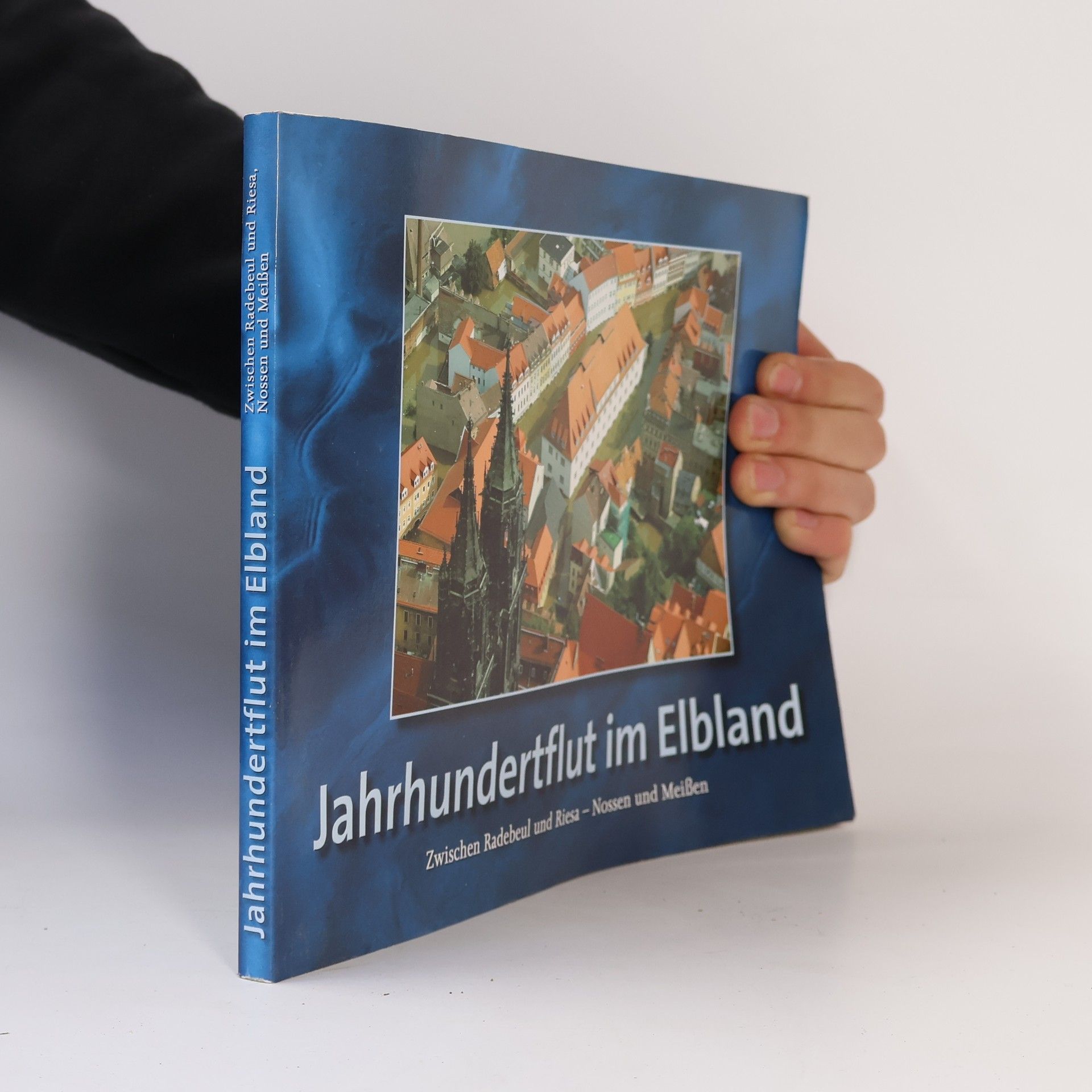 Autorenkollektiv Jahrhundertflut in Elbland