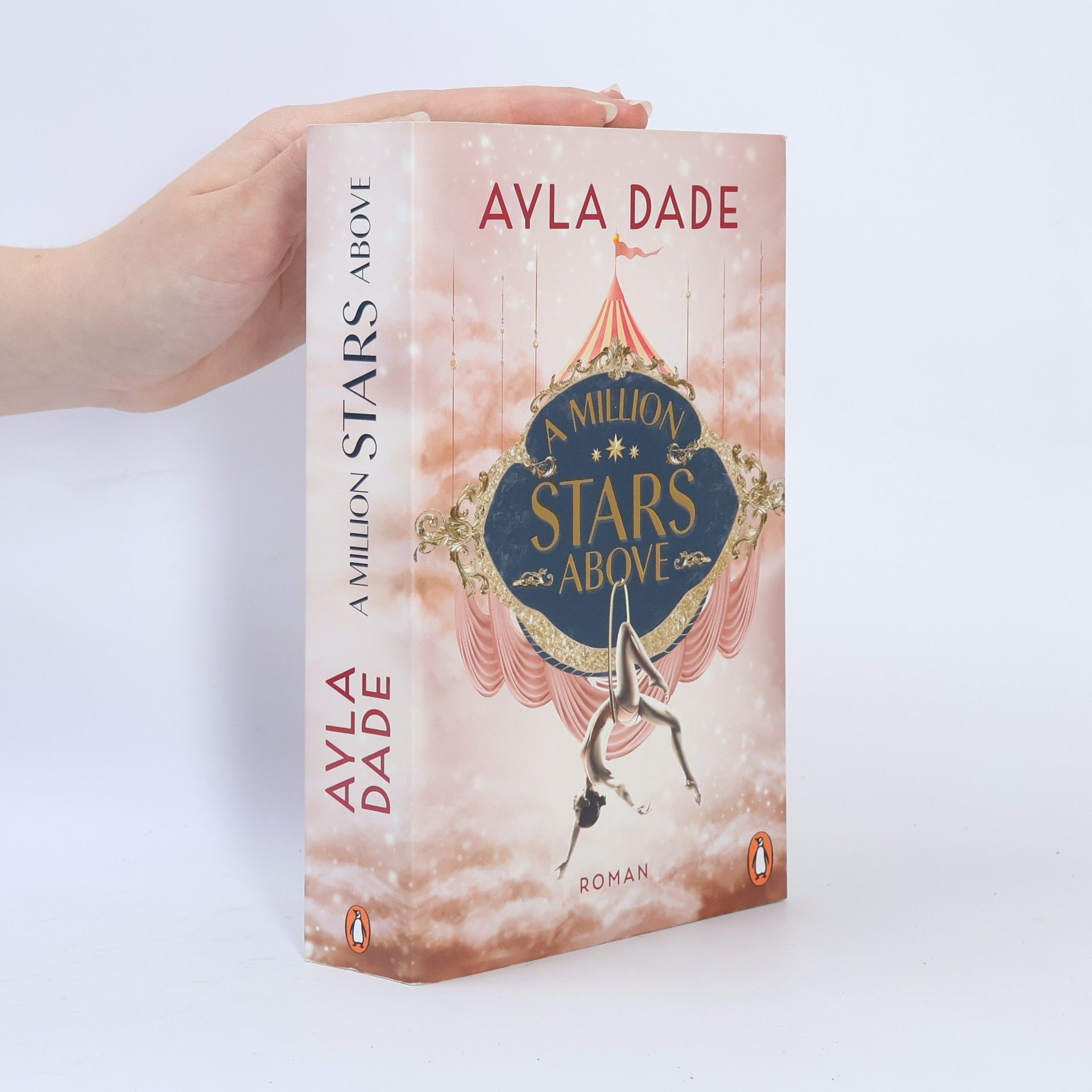 Ayla Dade A Million Stars Above / Sky Circus Bd.1