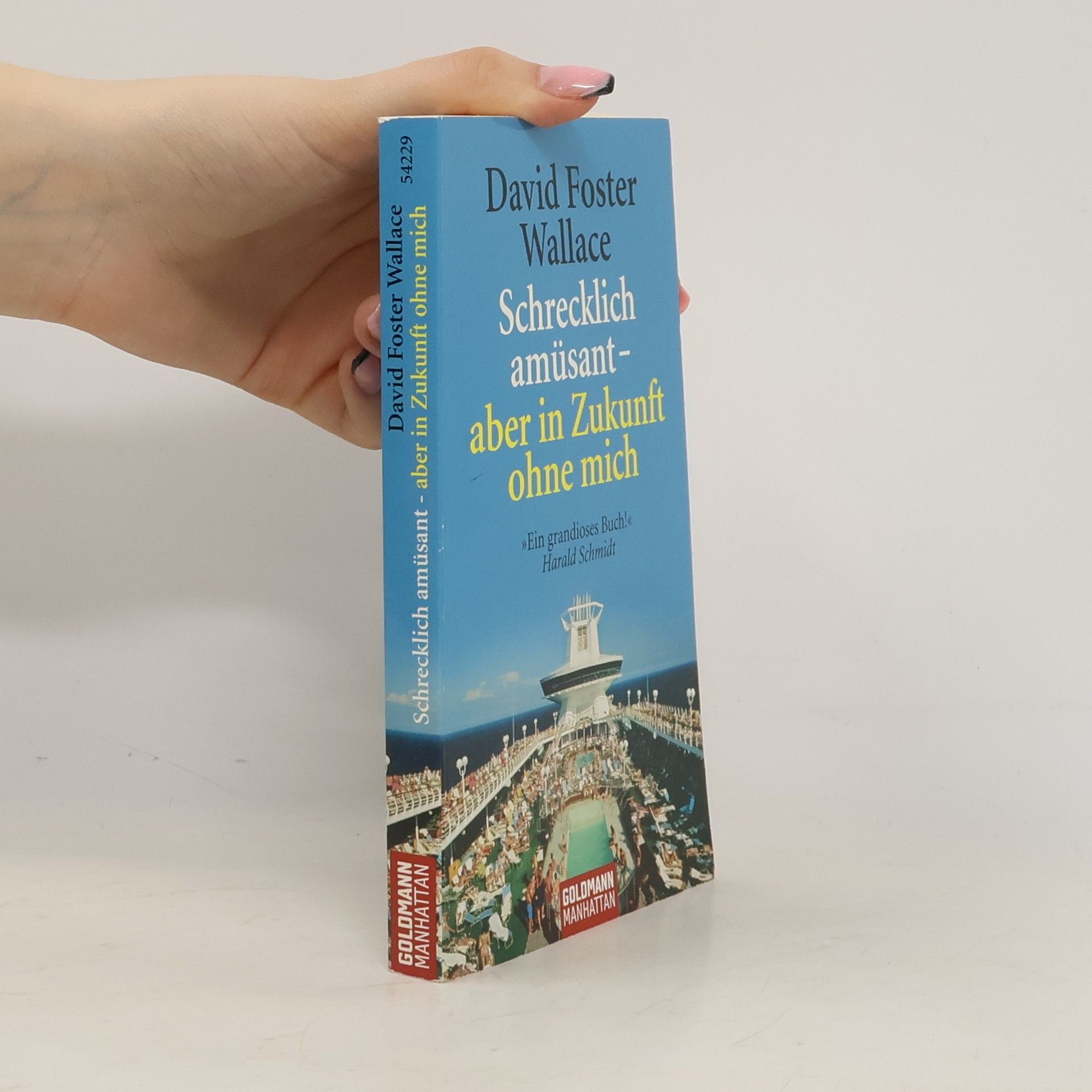 David Foster Wallace Schrecklich amüsant - aber in Zukunft ohne mich