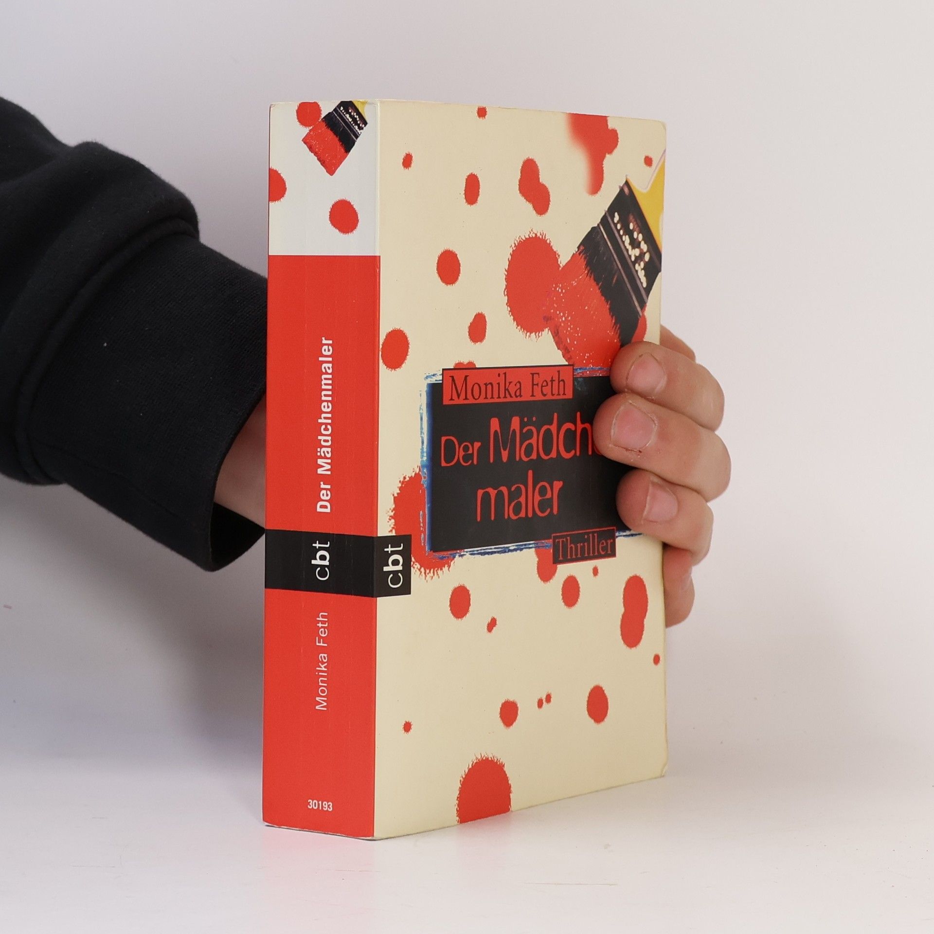 Monika Feth Der Mädchenmaler