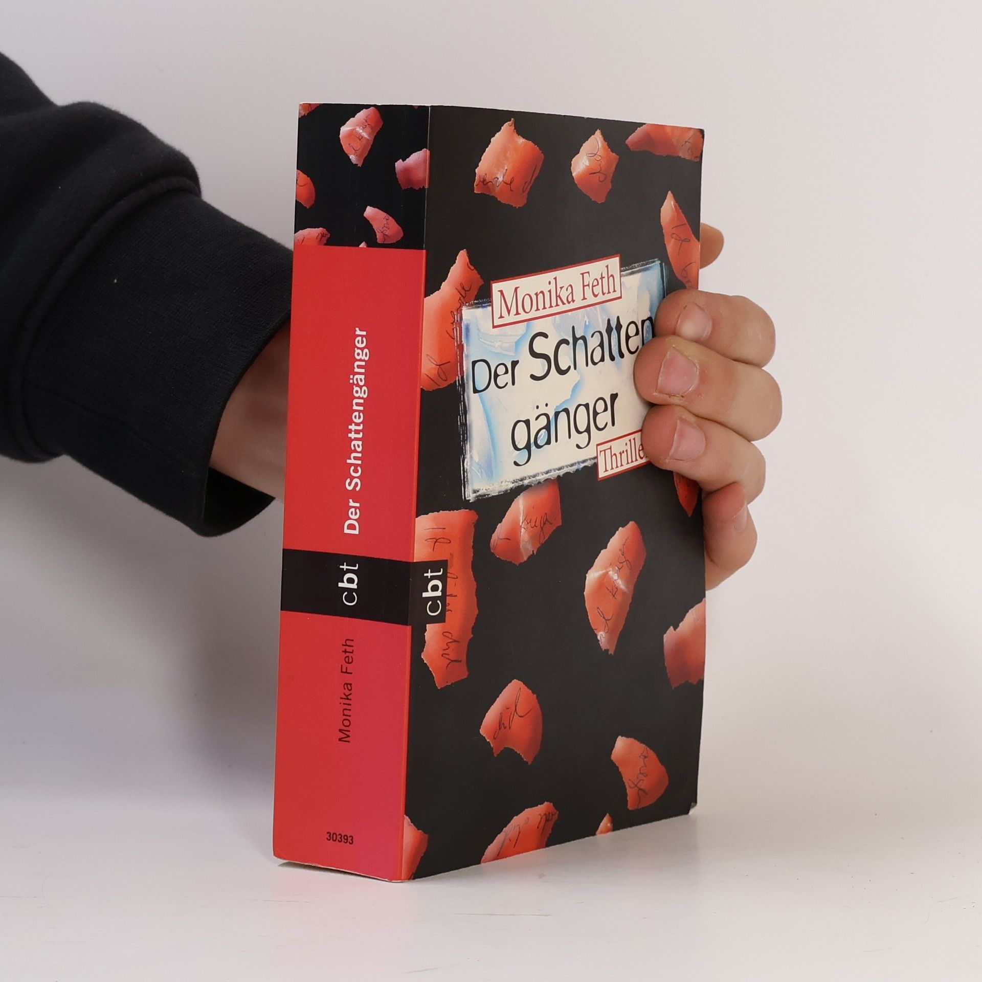 Monika Feth Der Schattengänger