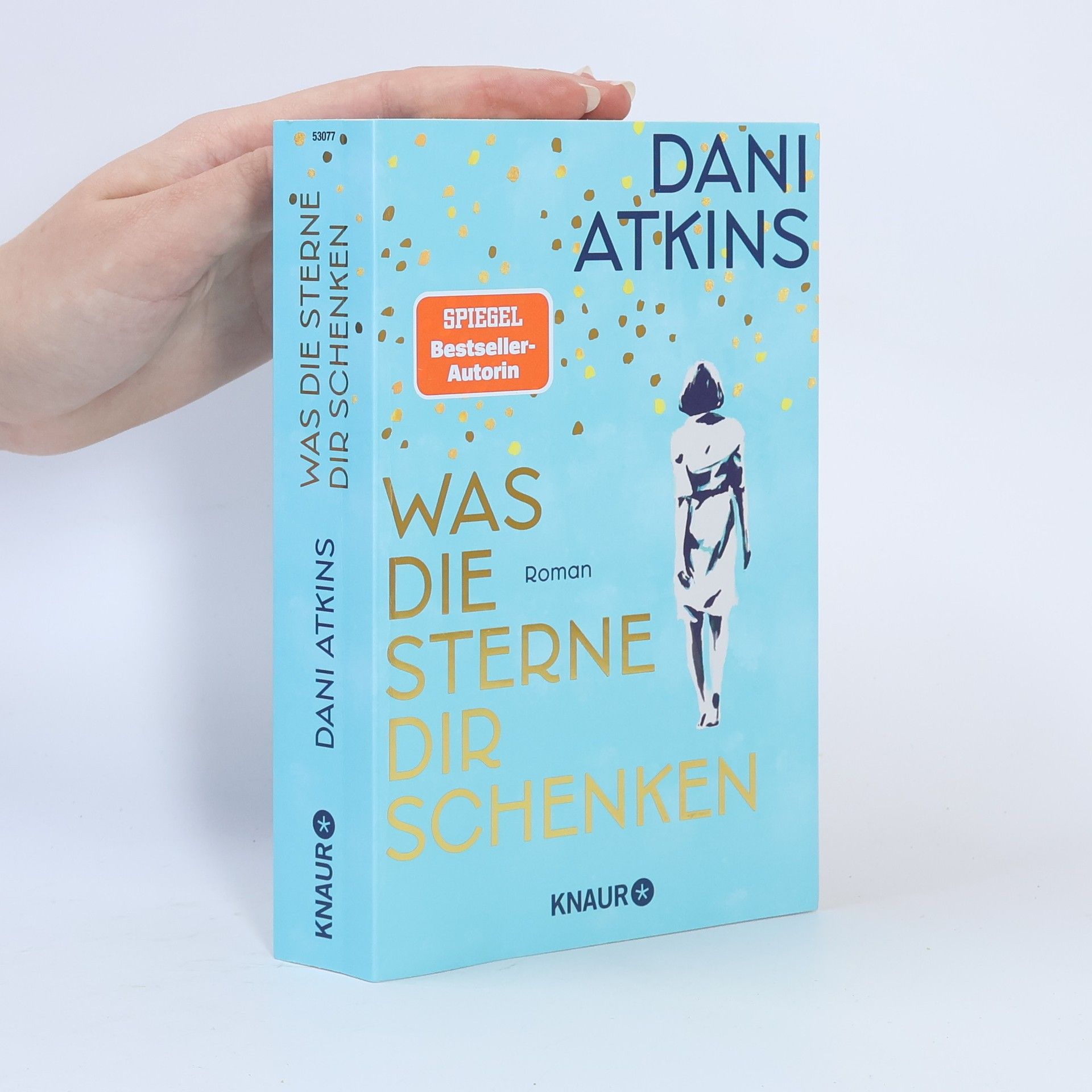 Dani Atkins Was die Sterne dir schenken