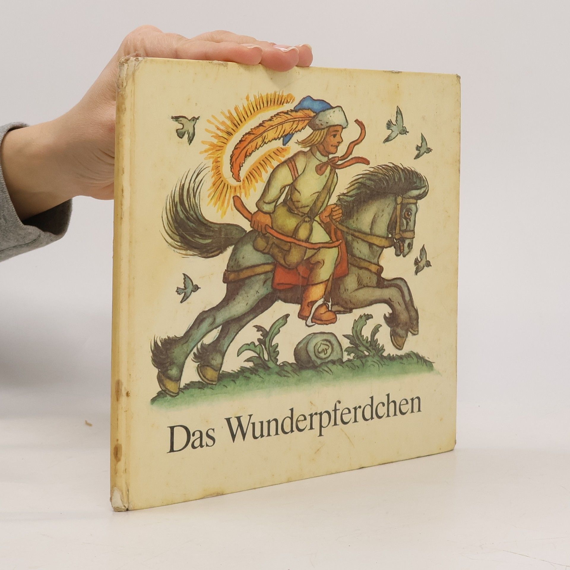 Autorenkollektiv Das Wunderpferdchen